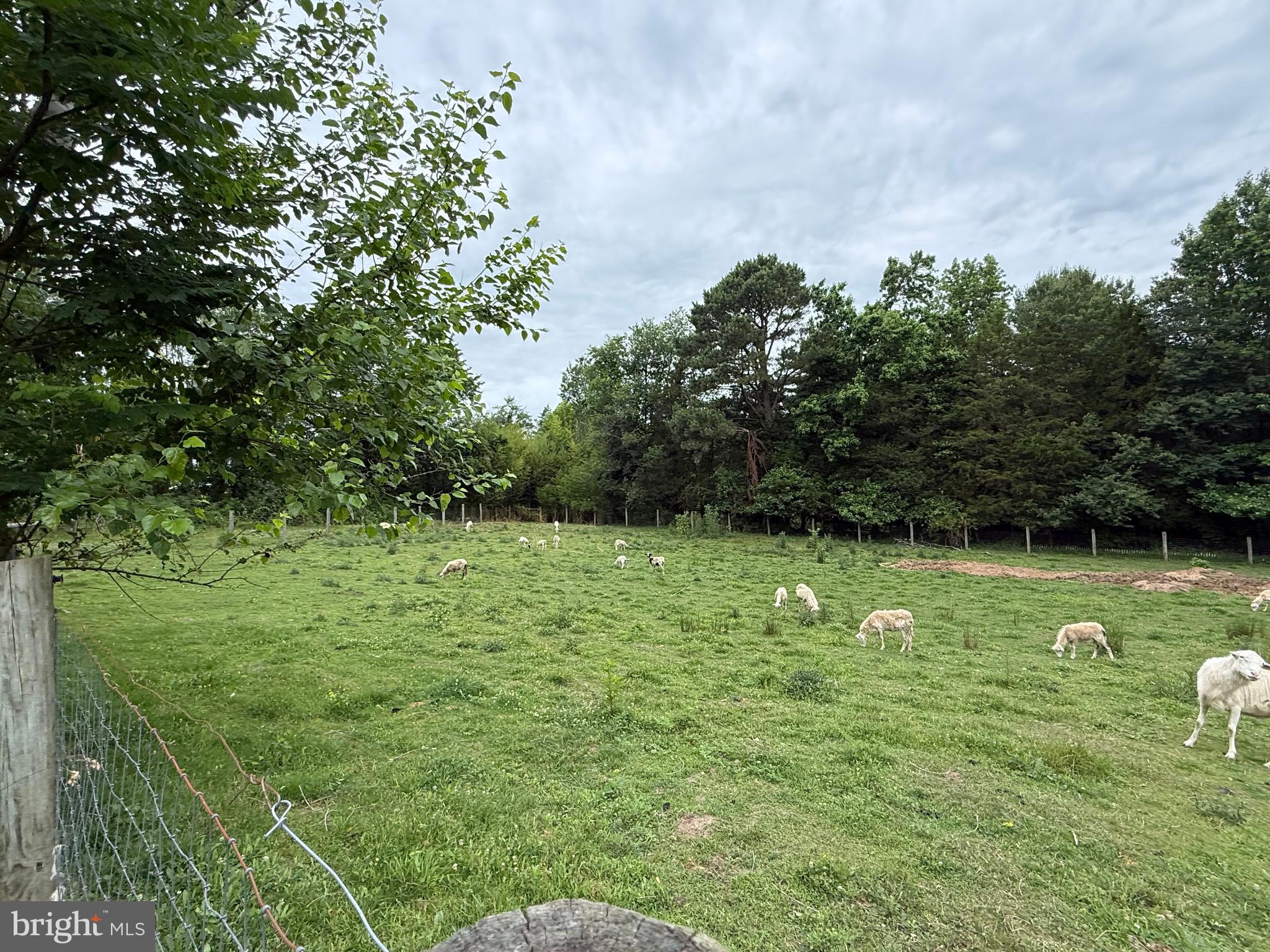 204 Alloway Aldine Road Woodstown, NJ 08098 - Photo 15 of 19