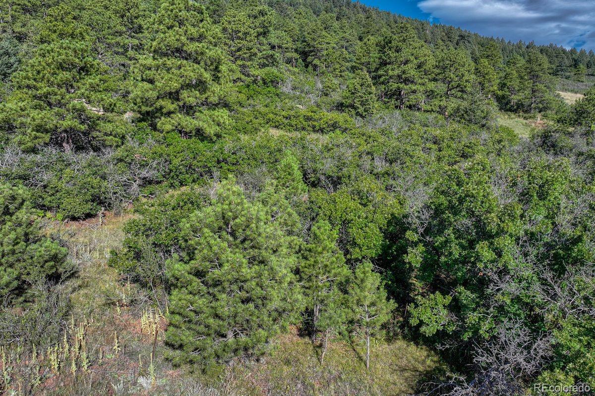 0 Columbine Road Larkspur, CO 80118 - Photo 37 of 37 Gallery Image 37