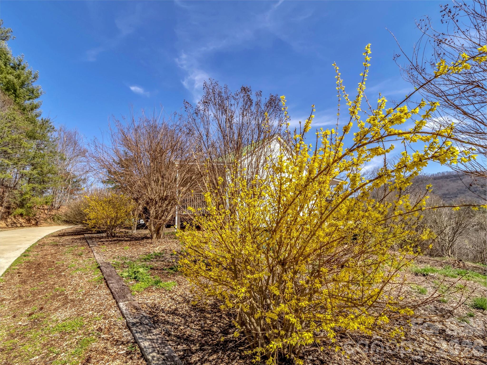 39 Millard Cove Road Leicester, NC 28748 - Photo 36 of 48