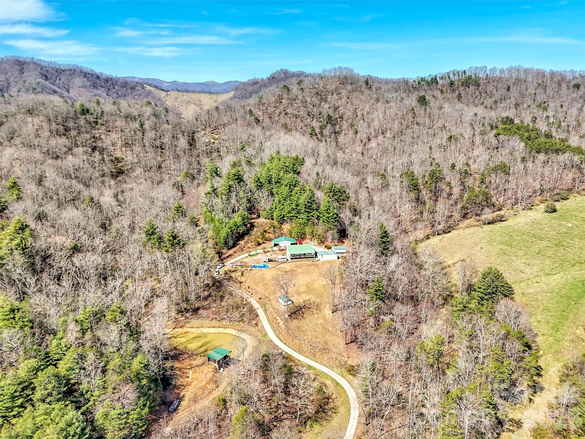 39 Millard Cove Road Leicester, NC 28748 - Photo 46 of 48