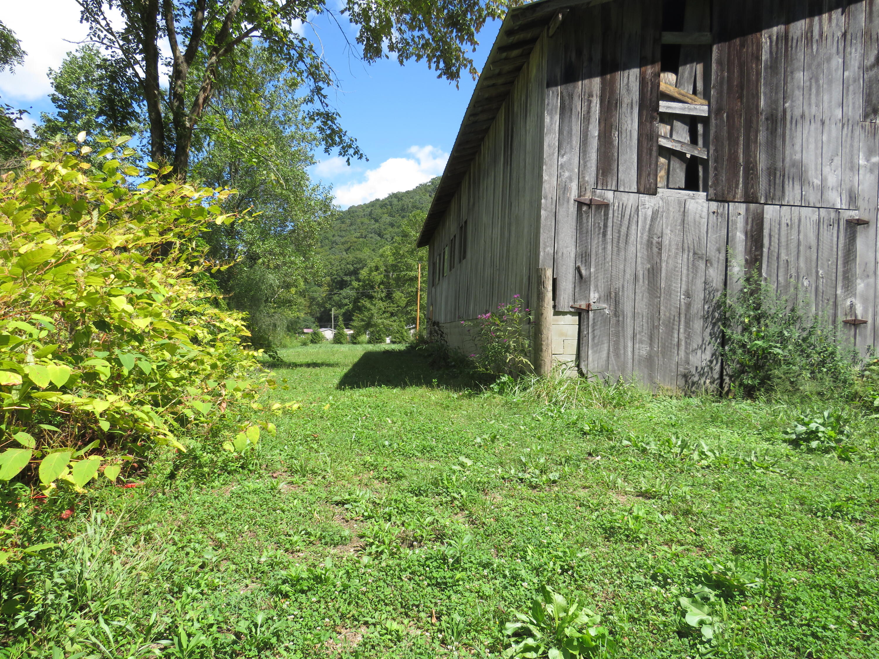 108 Lost Fork Road Manchester, KY 40962 - Photo 49 of 111 IMG_4453 - Copy