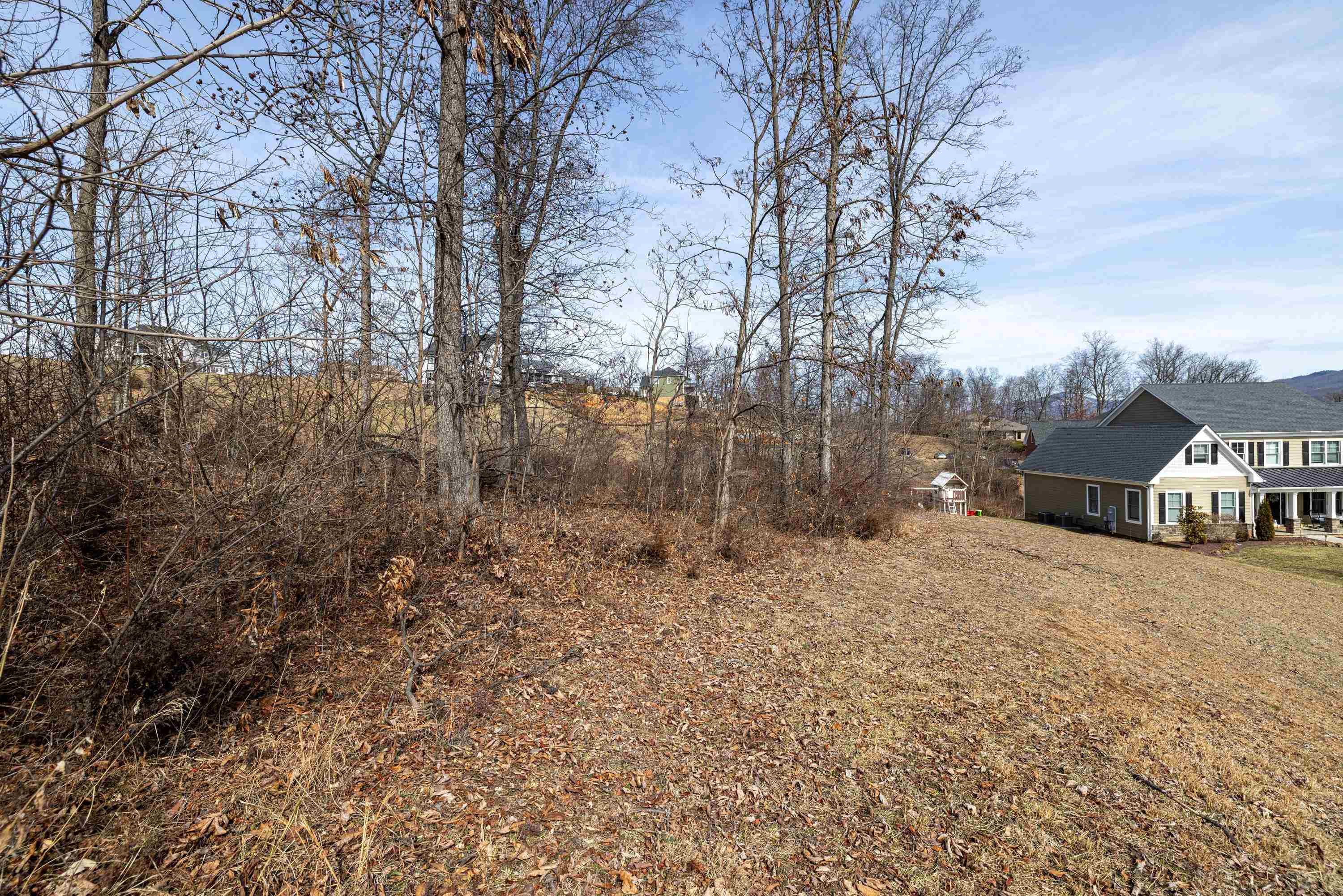 140 Markham Place Harrisonburg, VA 22801 - Photo 11 of 42 a backyard of a house with lots of green space