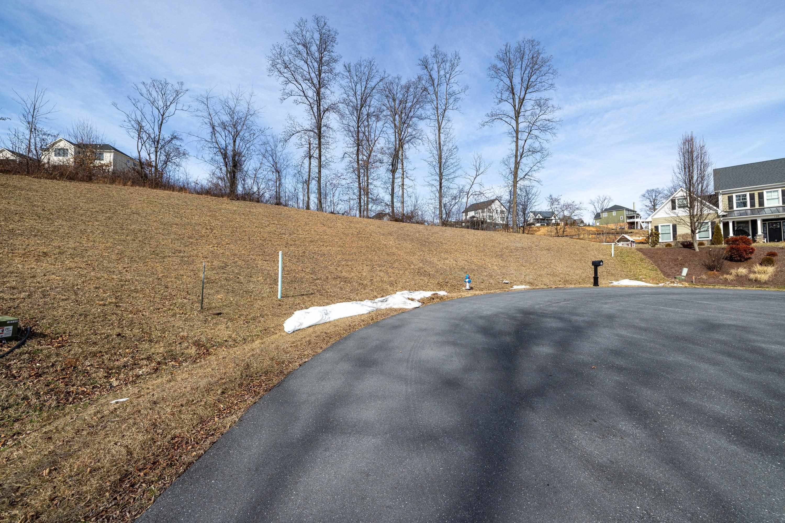 140 Markham Place Harrisonburg, VA 22801 - Photo 6 of 42 a view of a park with large trees