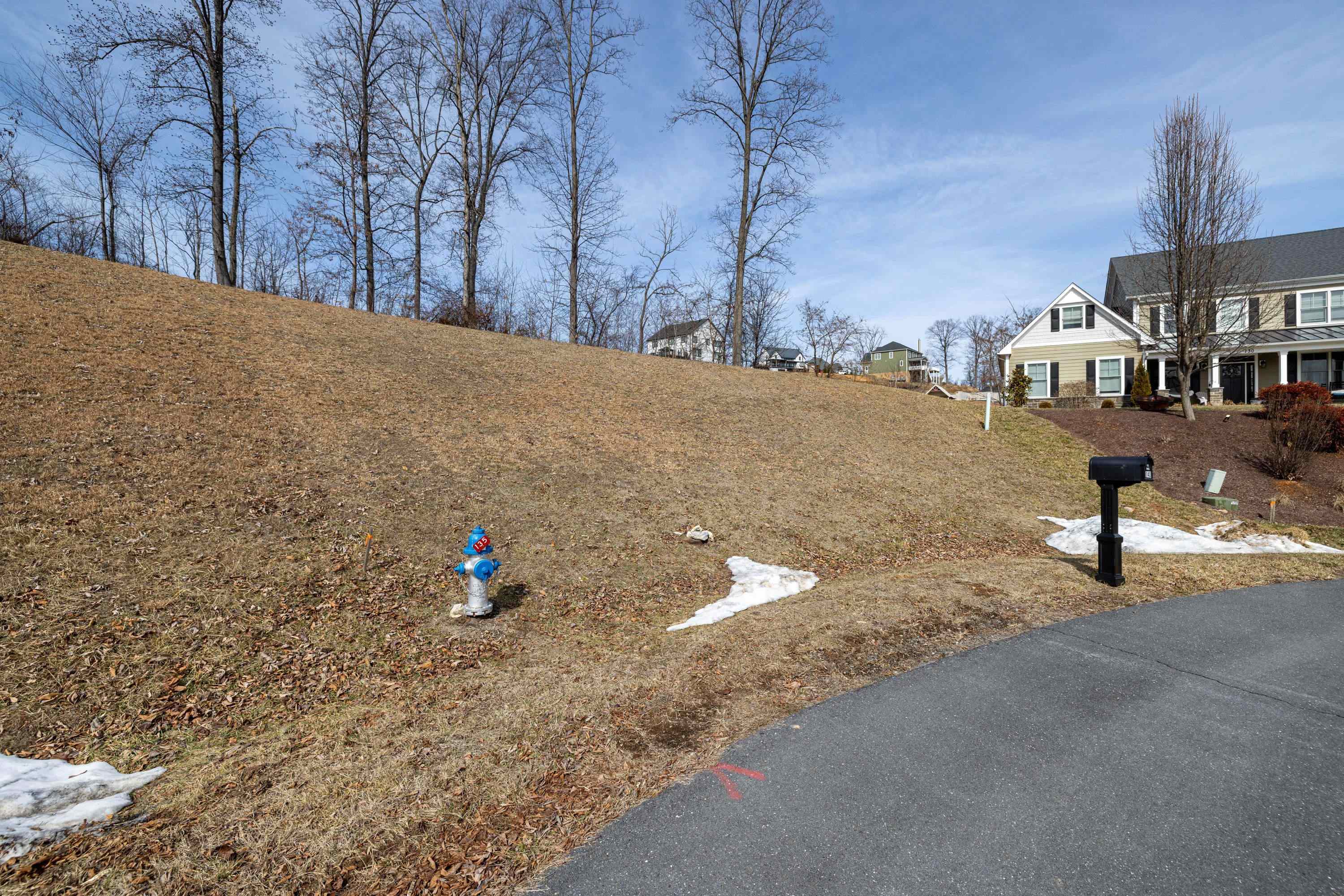 140 Markham Place Harrisonburg, VA 22801 - Photo 10 of 42 a view of street and house with trees