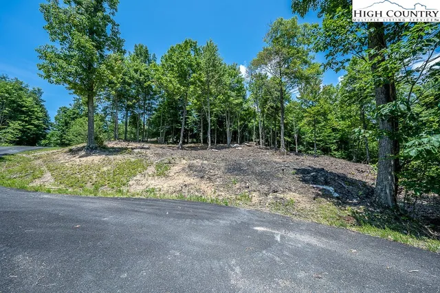 $190,000 | Lot 81-tbd Lot 81-tbd Bear Creek Road, Elk Park, NC 28622