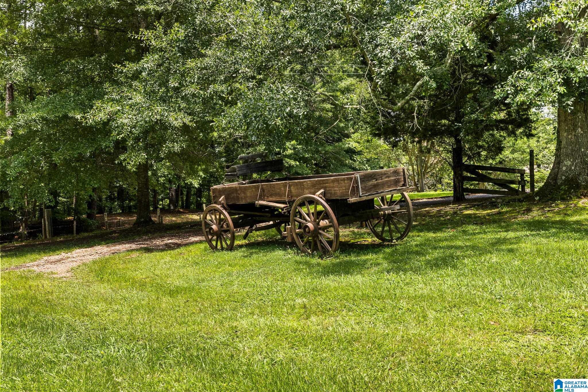 860 Sweet Apple Road Pell City, AL 35128 - Photo 25 of 62