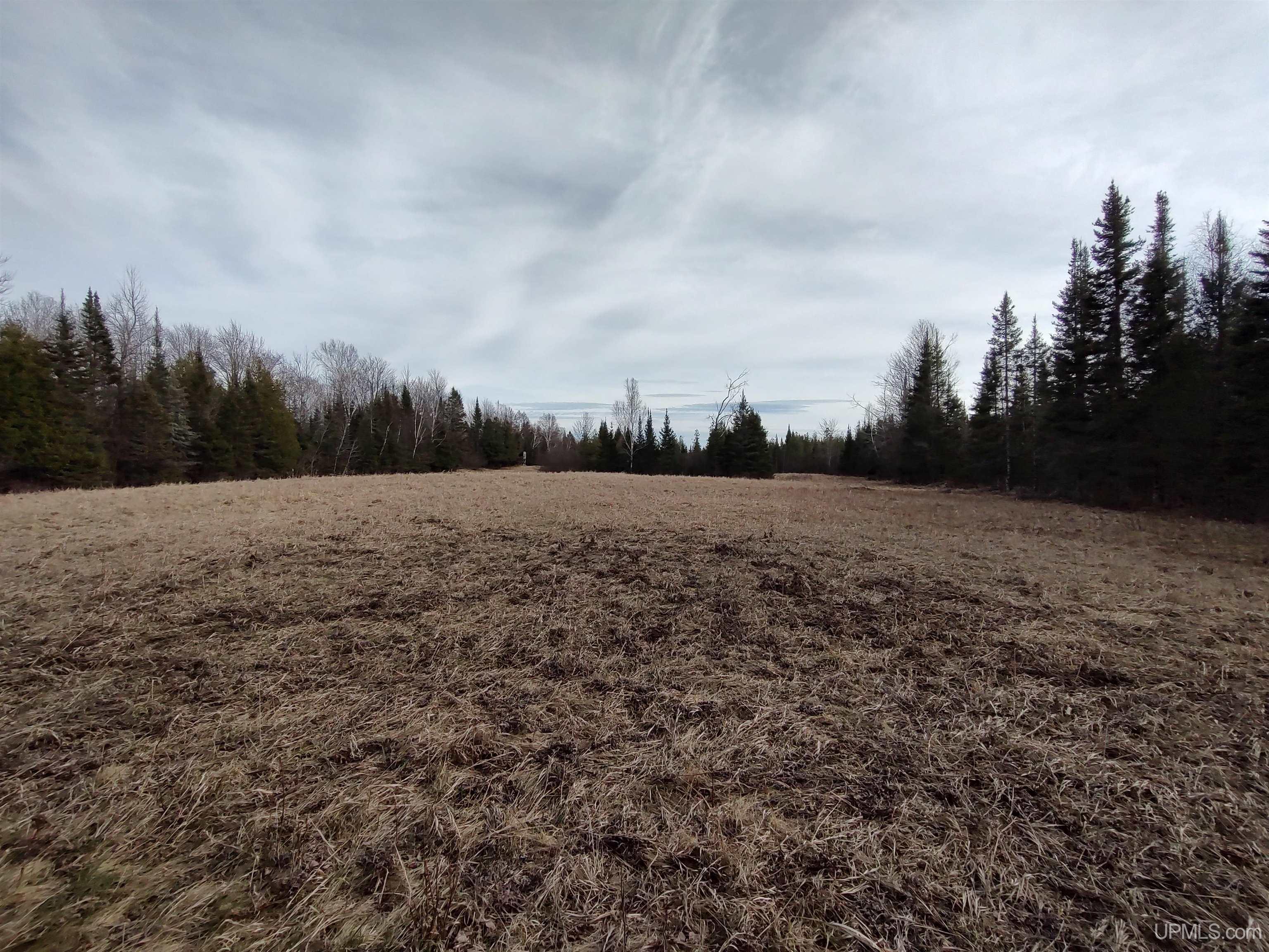 40-acres Trombley 35th Road Rock, MI 49880 - Photo 22 of 62