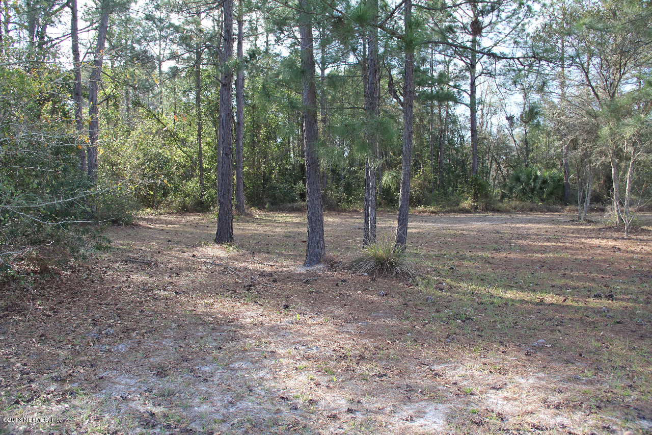 1999-2001 Ryan Road St. Augustine, FL 32092 - Photo 41 of 48 a view of outdoor space with trees