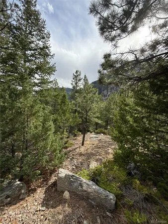 $150,000 | 112 Skyline Road, Georgetown, CO 80444