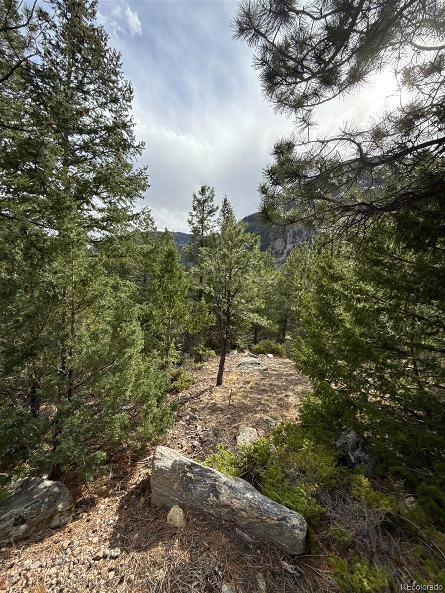 112 Skyline Road Georgetown, CO 80444 - Photo 2 of 9