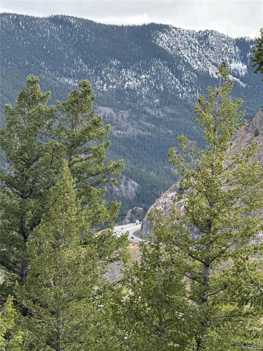 112 Skyline Road Georgetown, CO 80444 - Photo 3 of 9