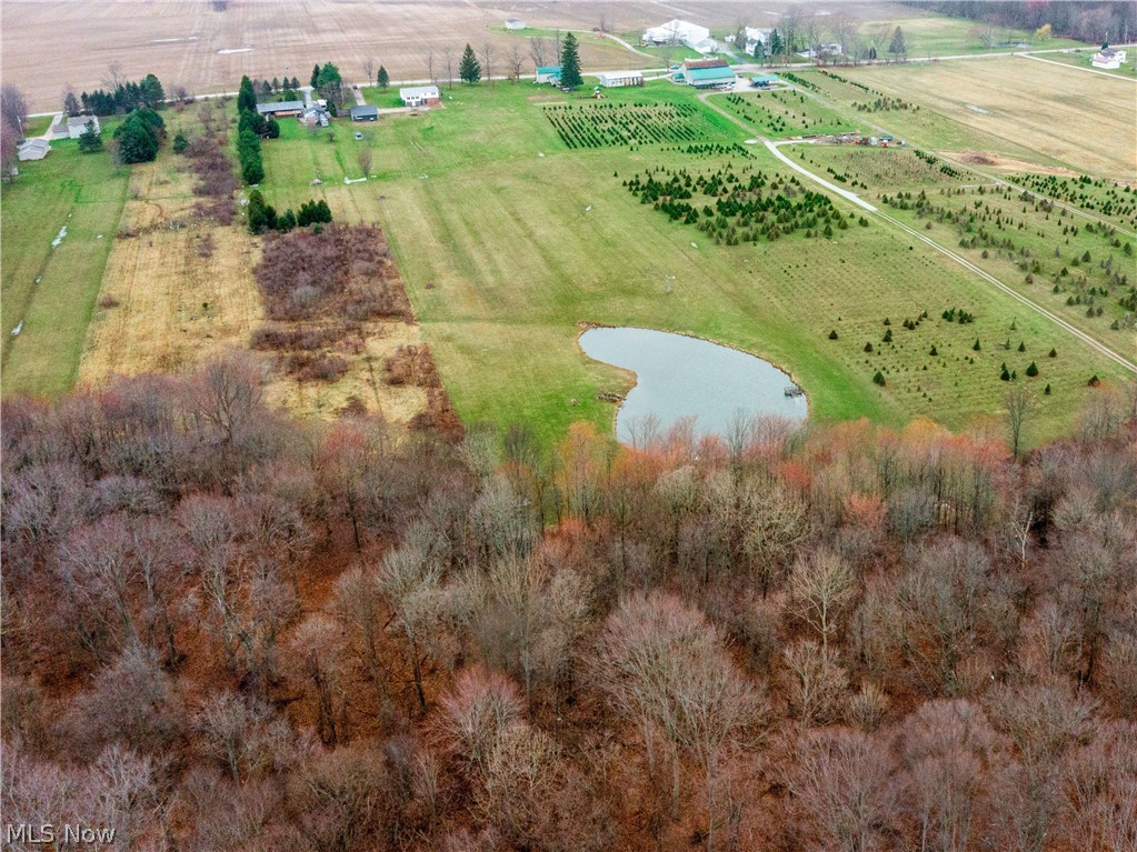 8524 Nichols Road Windham, OH 44288 - Photo 9 of 29 Gallery Image 9