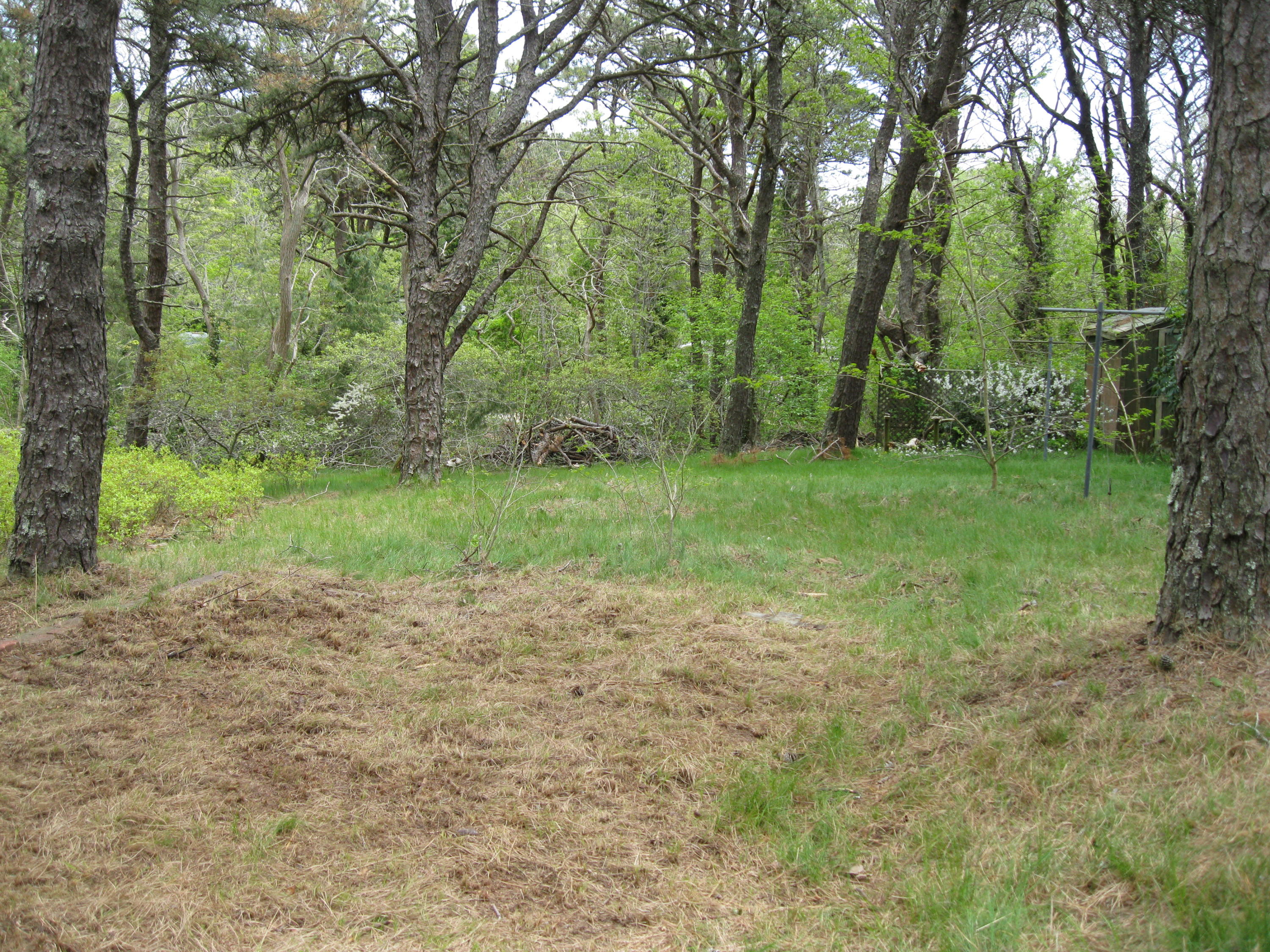 26 Silver Spring Road Wellfleet, MA 02667 - Photo 5 of 10 2018-05-24 00.48.28