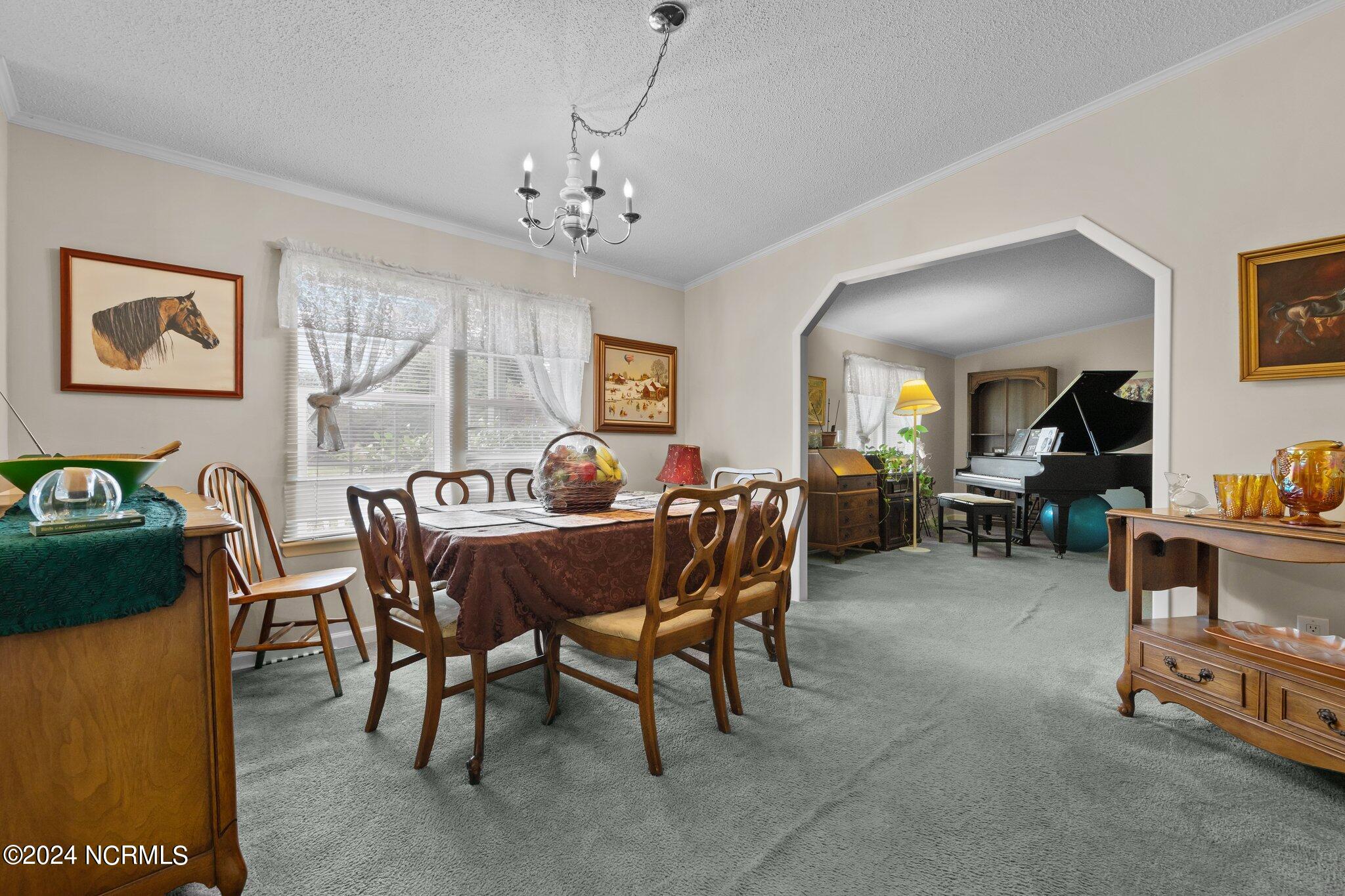 654 Dowd Road Candor, NC 27229 - Photo 53 of 64 4-web-or-mls-707A9039