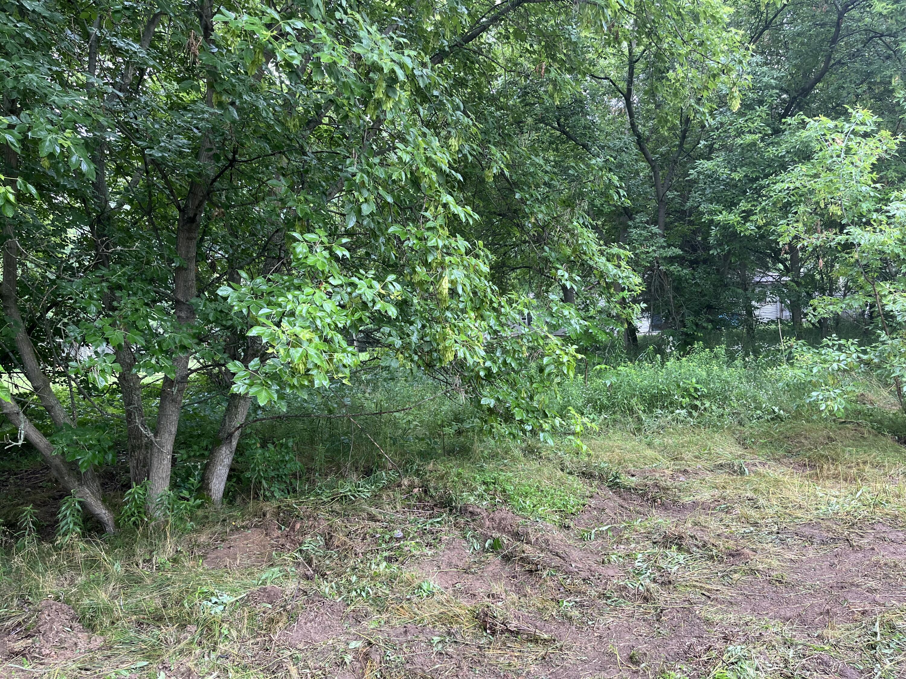 7828 Lessiter Road Northeast Belding, MI 48809 - Photo 3 of 10 7AA473C5-ED1B-418B-9EEC-1F4E386BFA5D