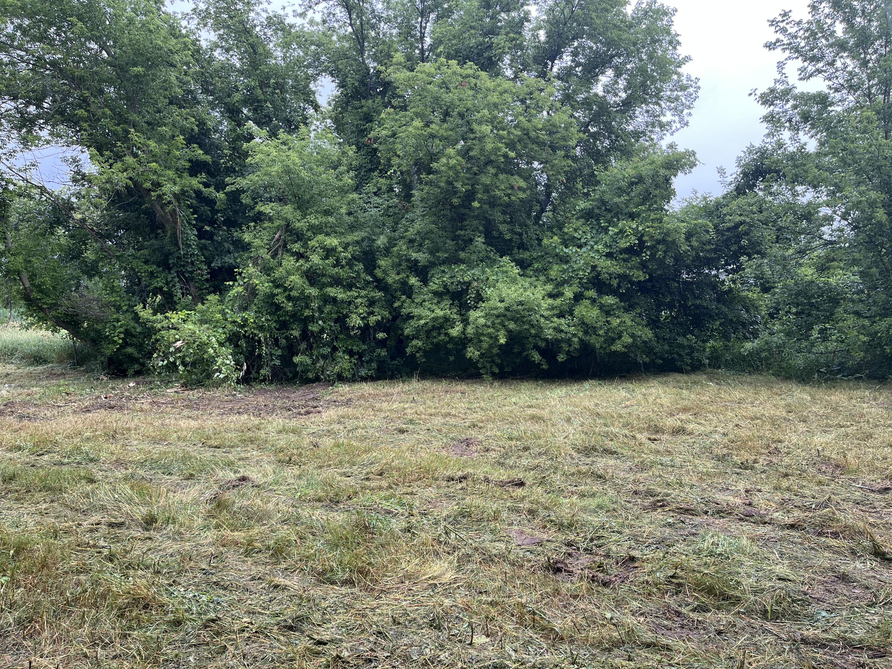 7828 Lessiter Road Northeast Belding, MI 48809 - Photo 6 of 10 E49830E4-6296-40CF-91C9-312FA266A354
