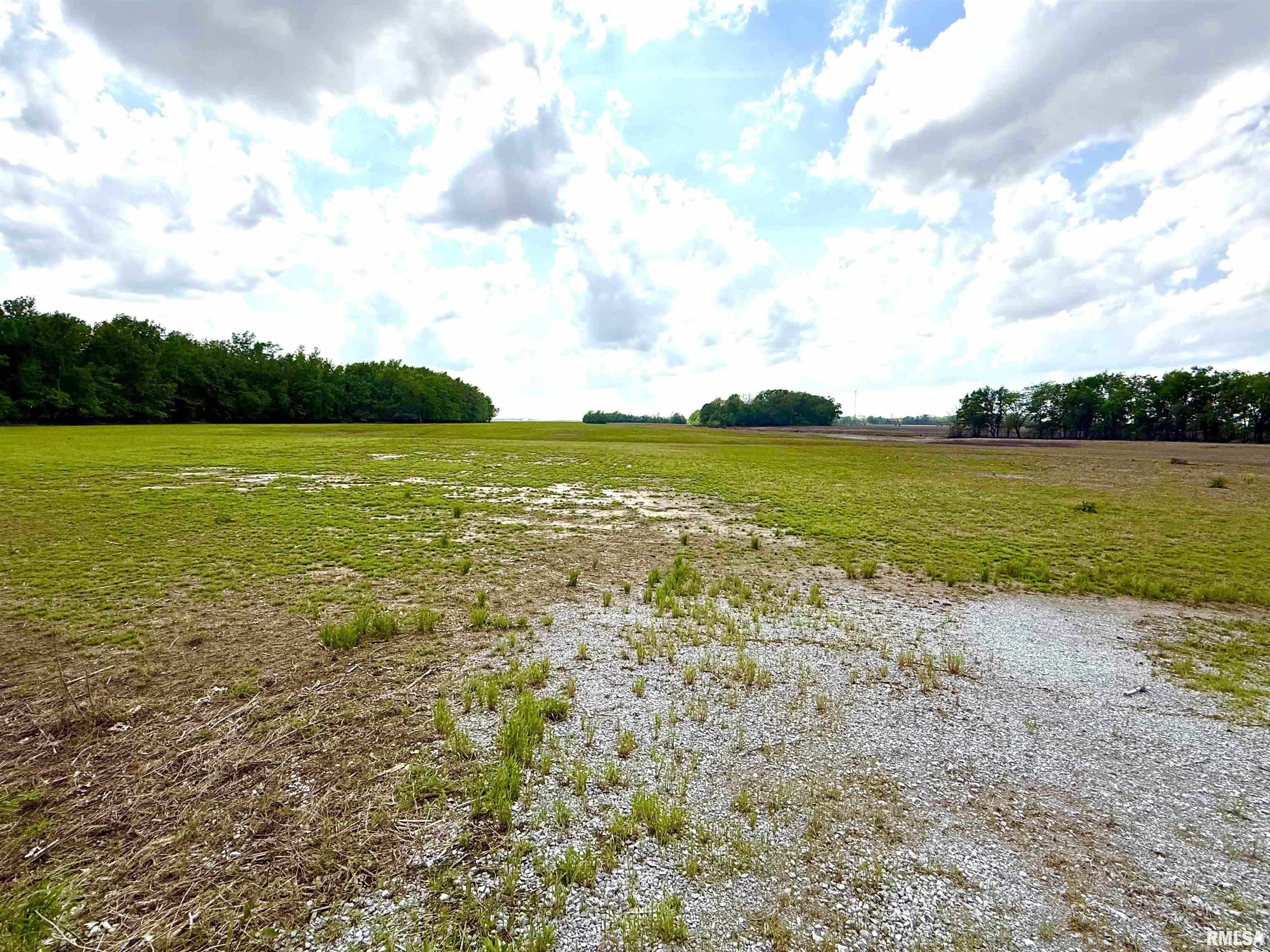 0 Shawneetown New Haven Road Ridgway, IL 62979 - Photo 3 of 3