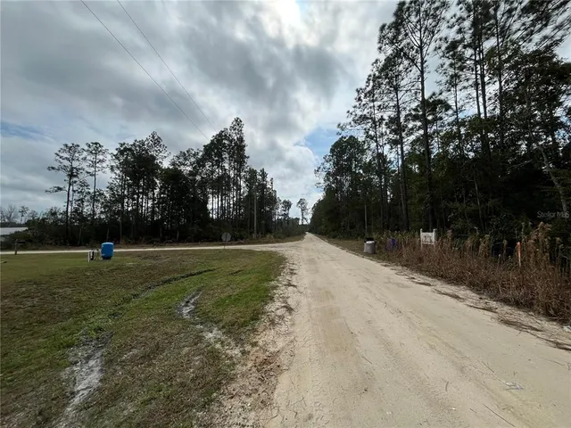 a view of a yard with trees