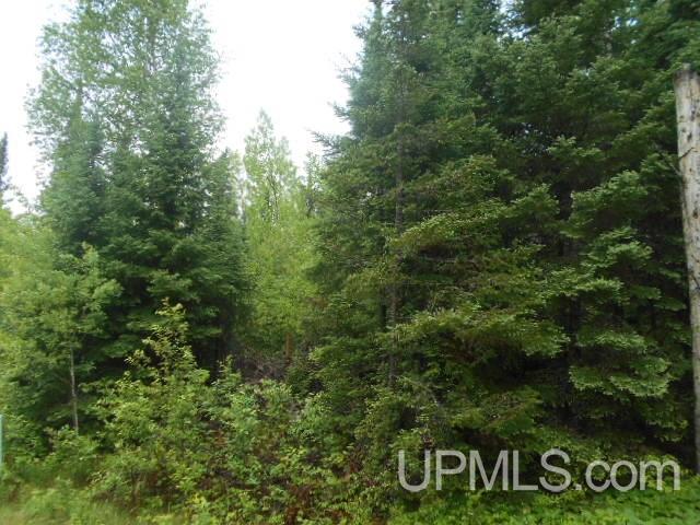4648 Co Road Florence, WI 54121 - Photo 10 of 13