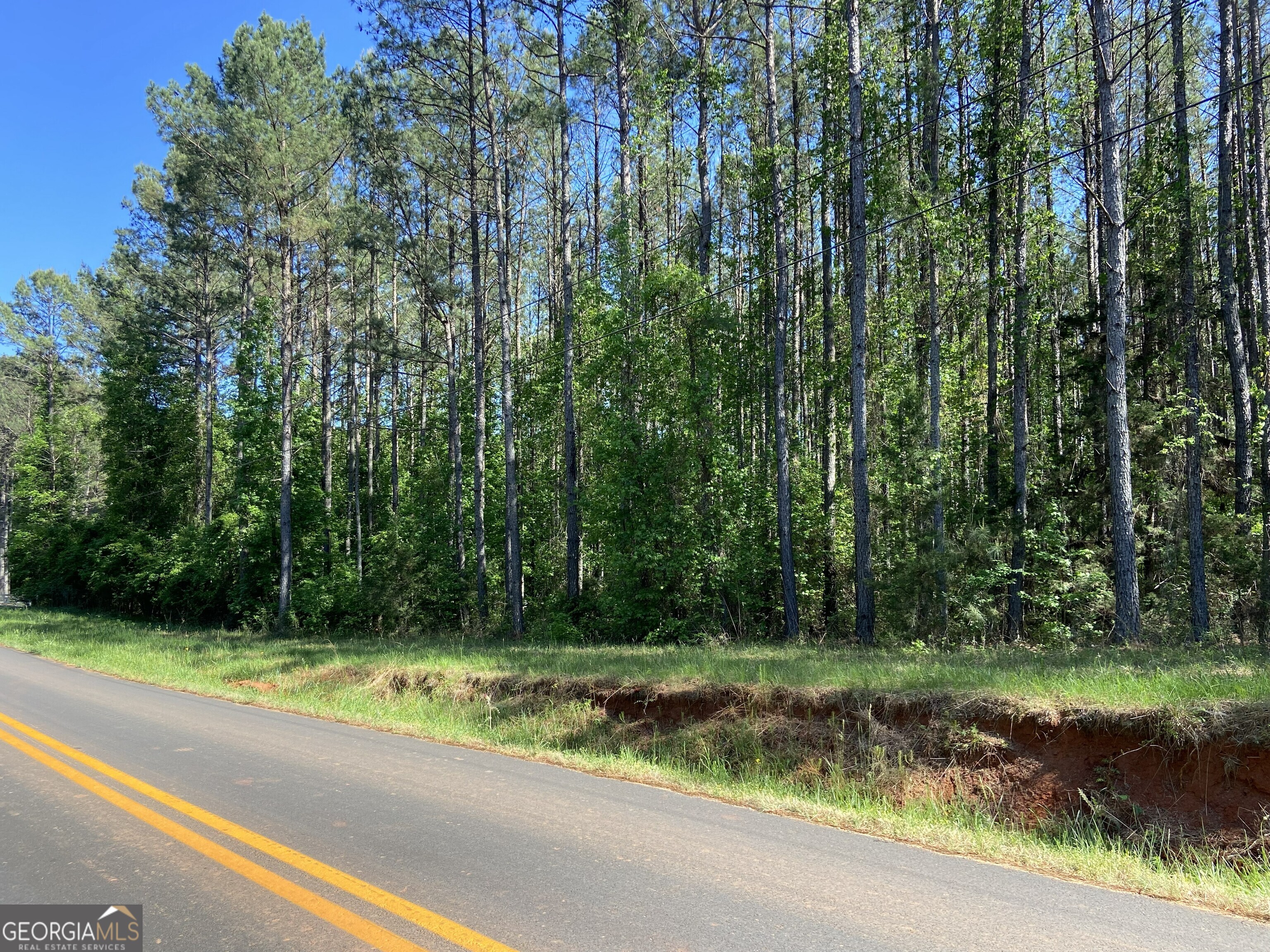711 McCommon Road Forsyth, GA 31029 - Photo 3 of 5 a view of a yard with a trees