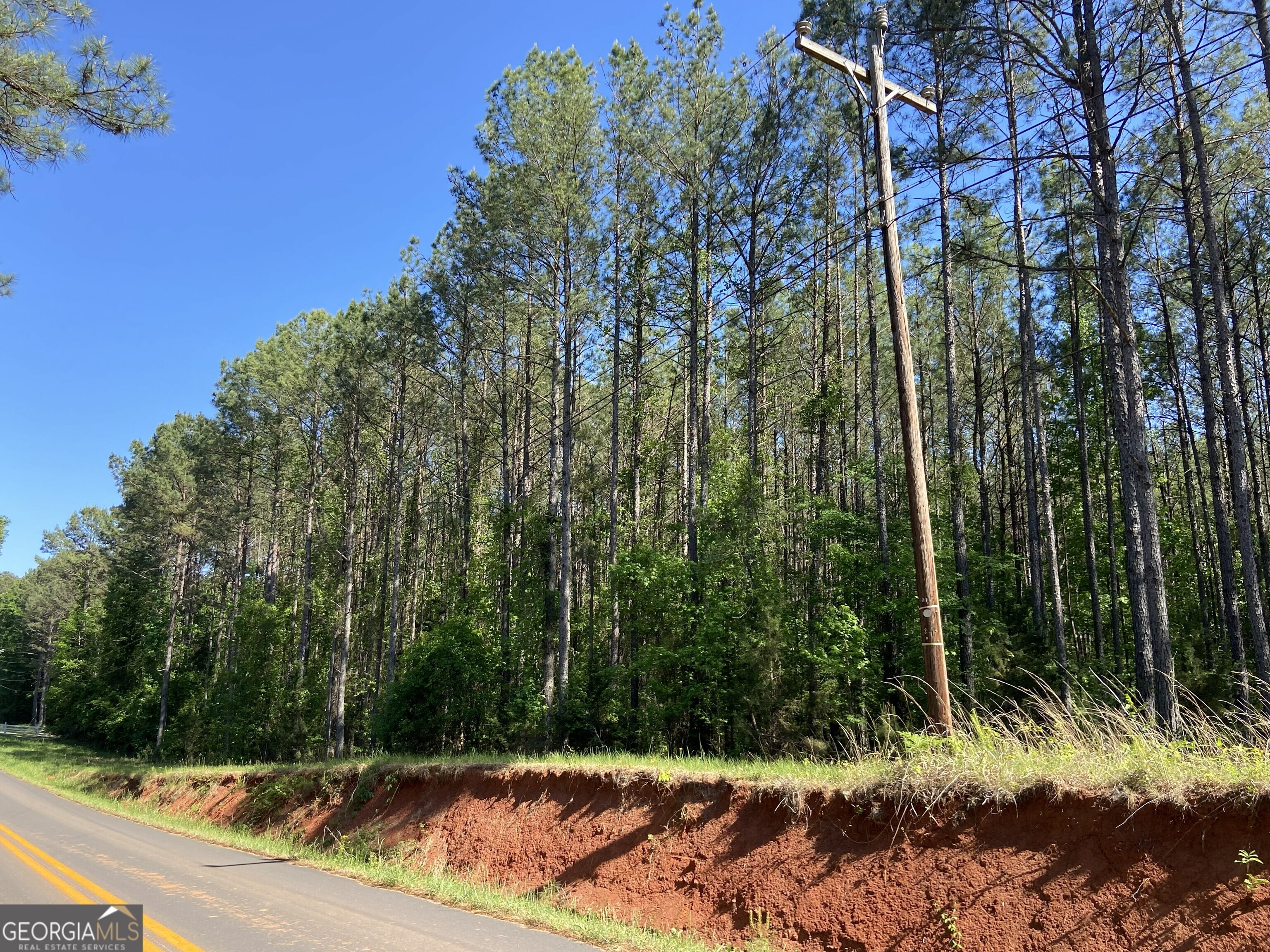 711 McCommon Road Forsyth, GA 31029 - Photo 5 of 5 a view of a backyard