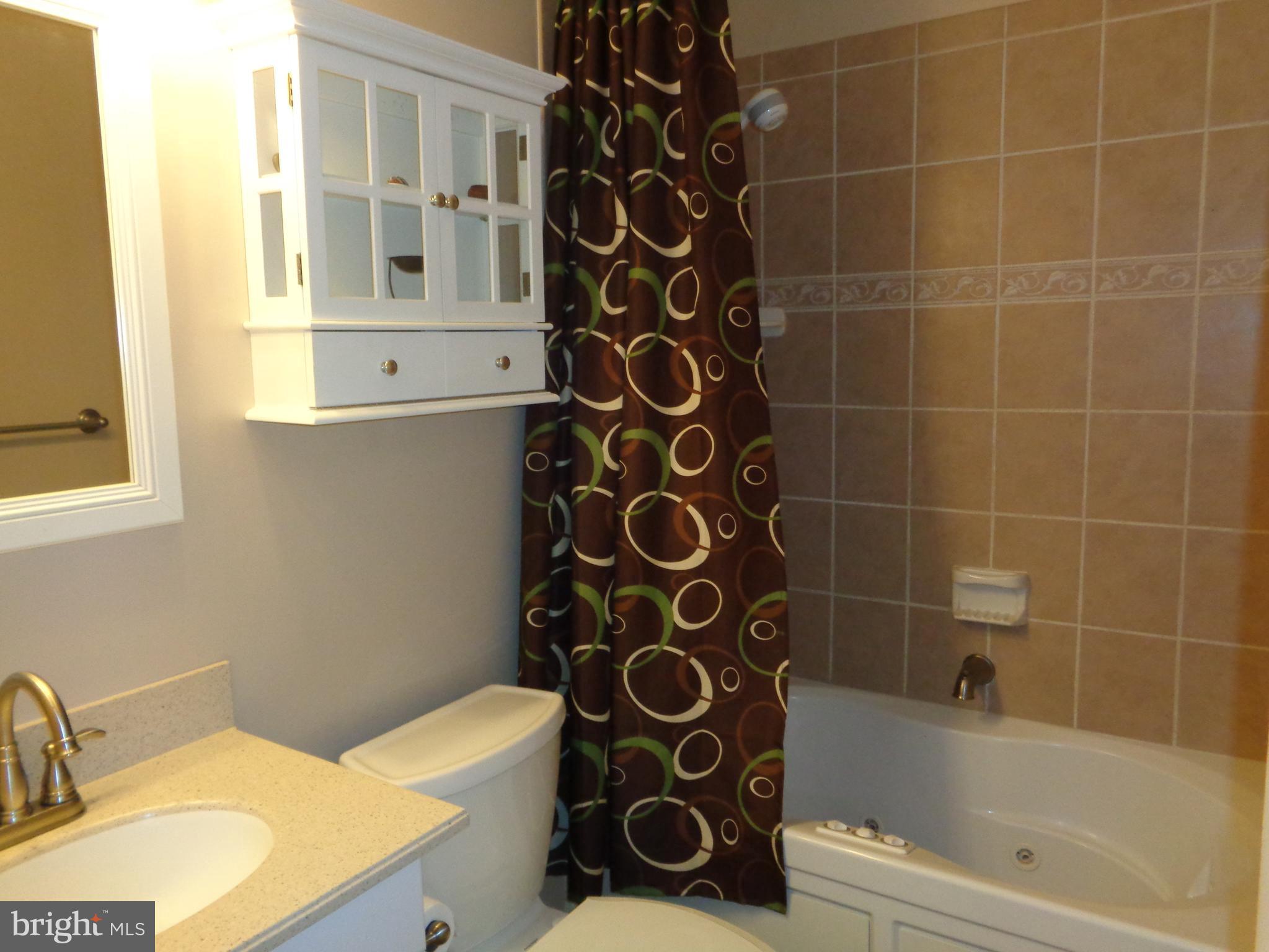 246 Arundel Road Pasadena, MD 21122 - Photo 6 of 27 Main bath w/Jacuzzi jetted tub and custom tile