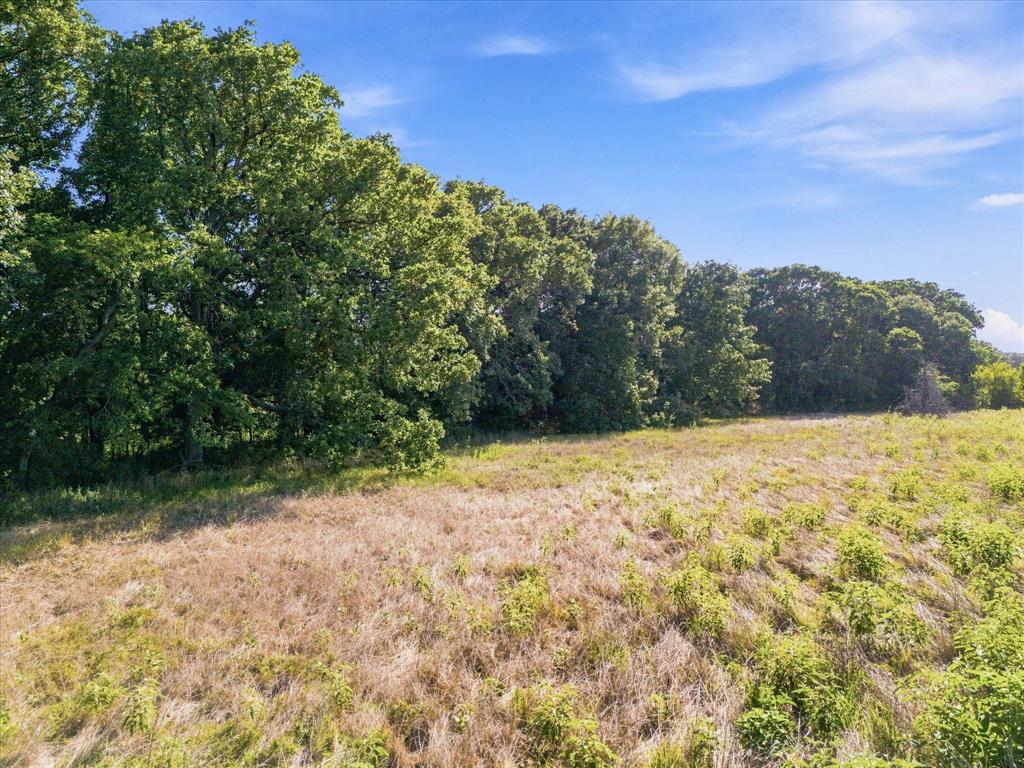 3094 Fm Road Scurry, TX 75158 - Photo 12 of 24 Gallery Image 12