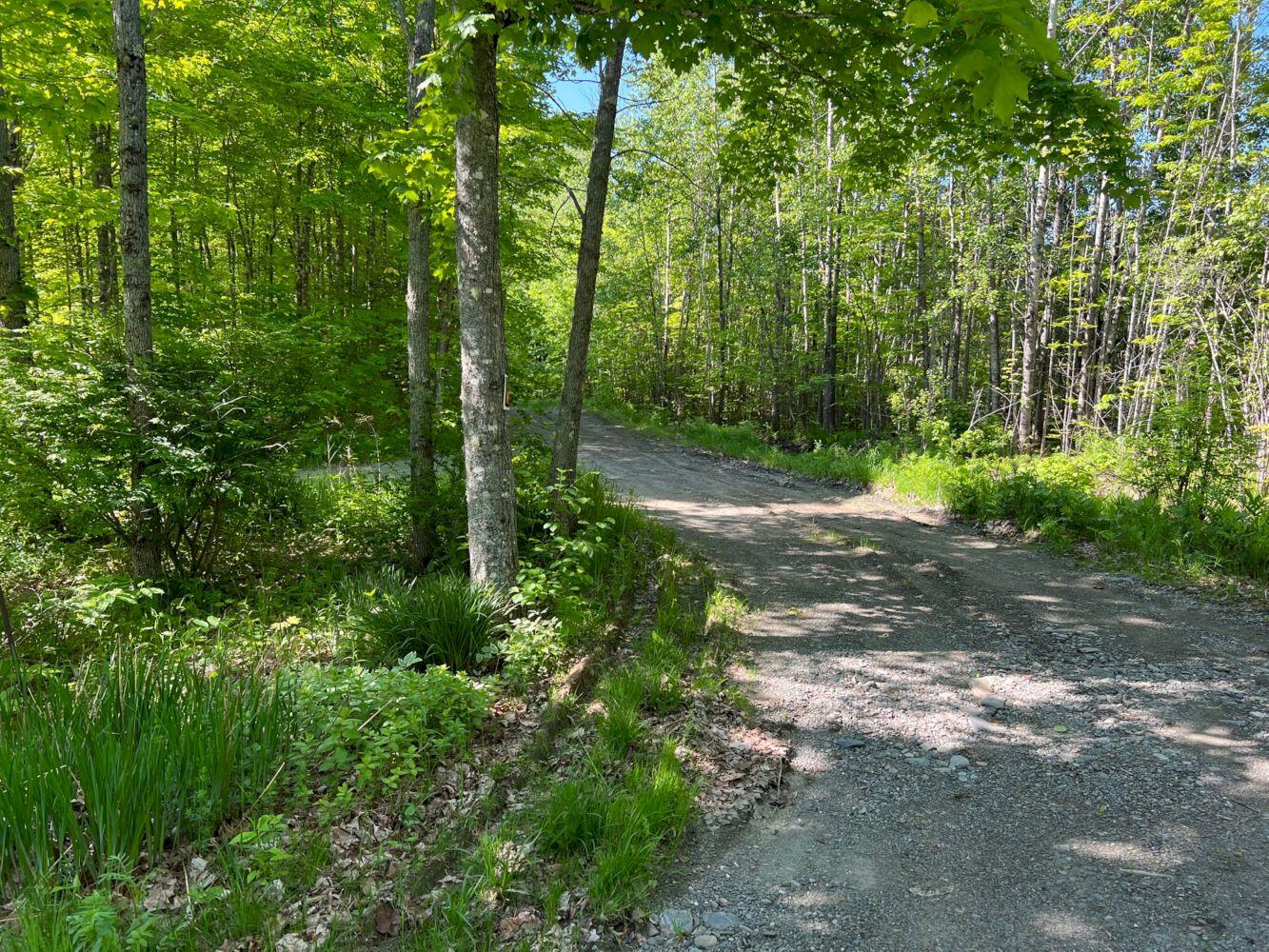 747 Rowell Mountain Road Solon, ME 04979 - Photo 8 of 26 8