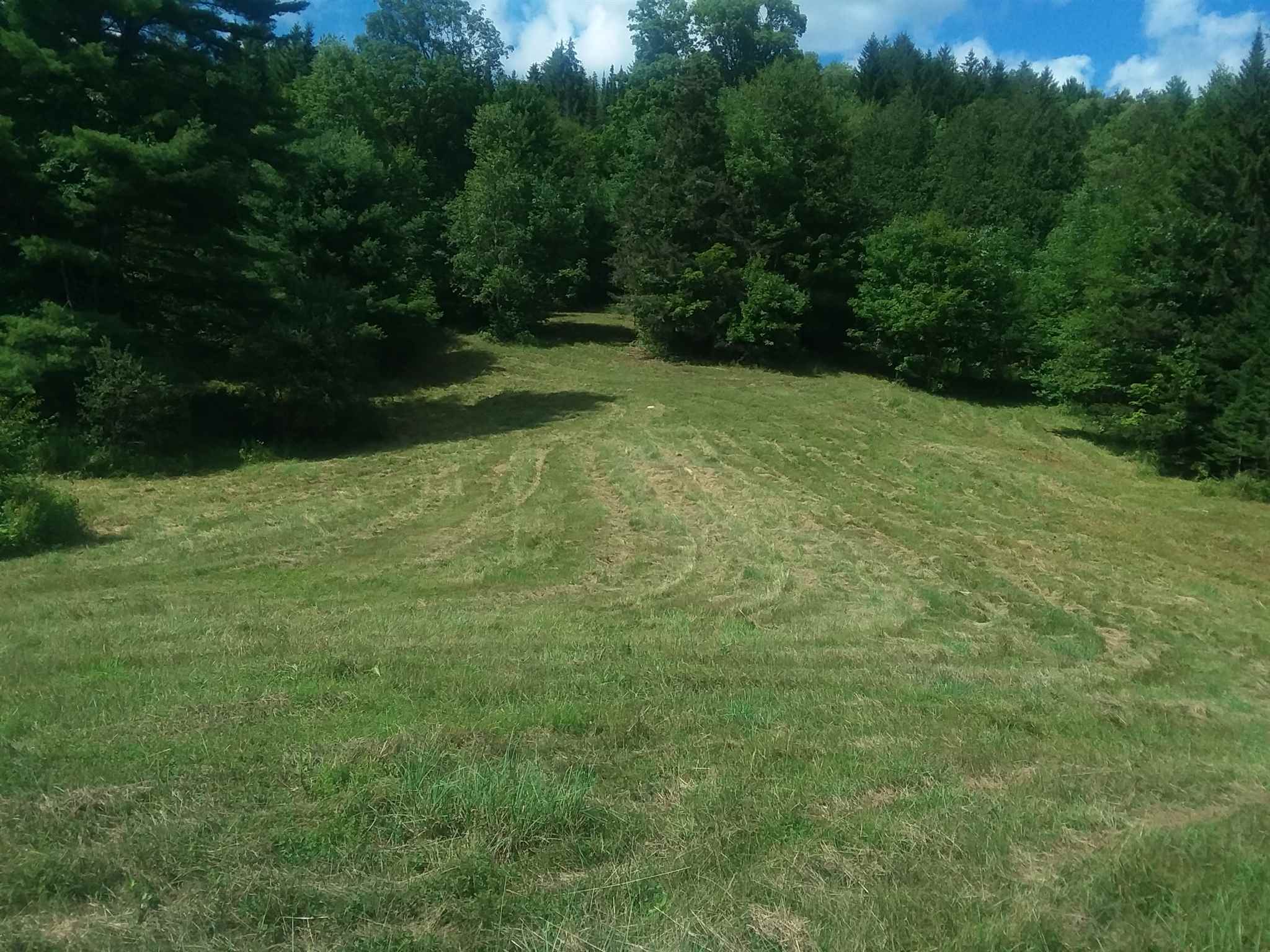0 Bothfeld Hill Road Cabot, VT 05647 - Photo 2 of 10