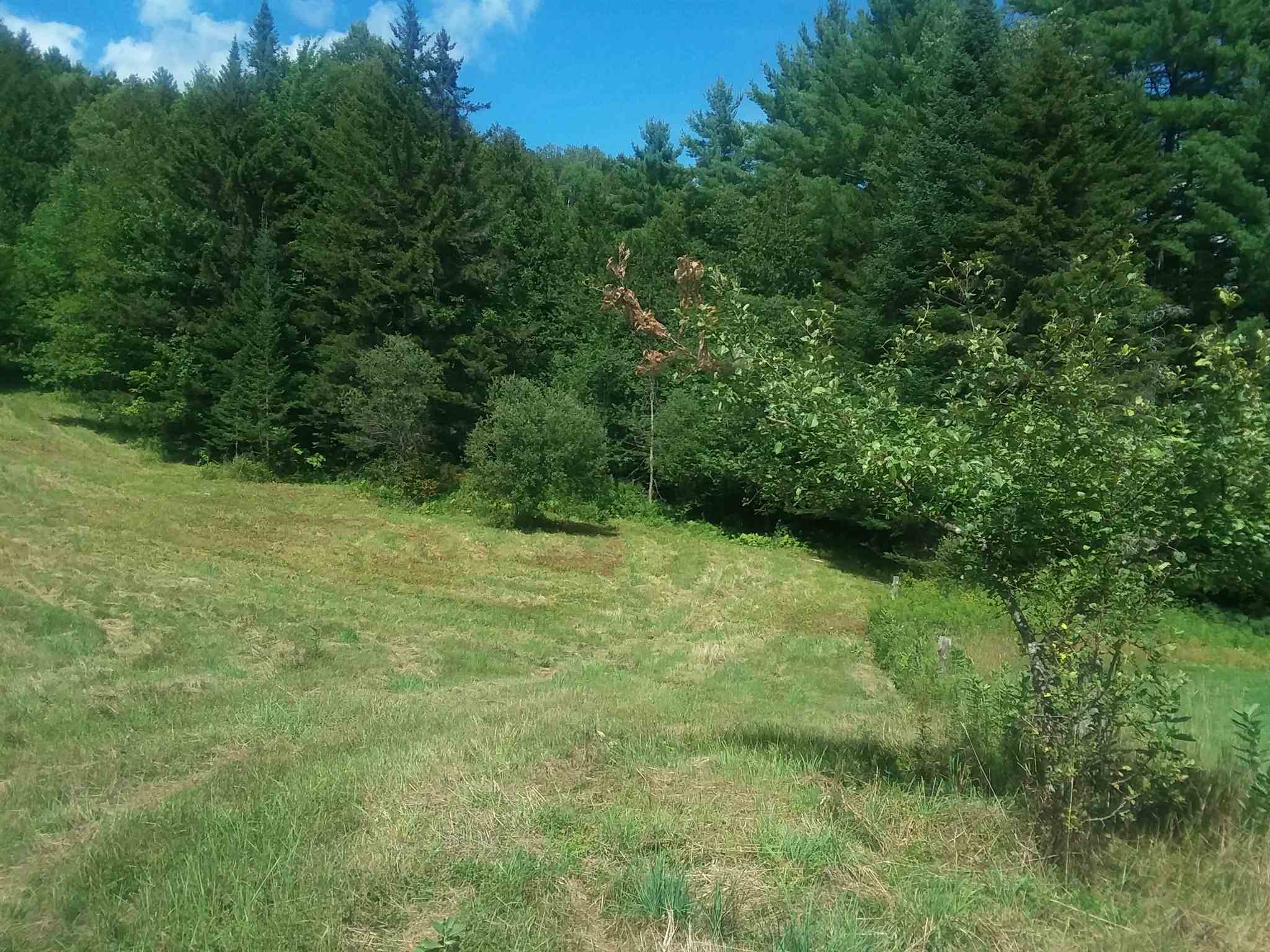 0 Bothfeld Hill Road Cabot, VT 05647 - Photo 3 of 10