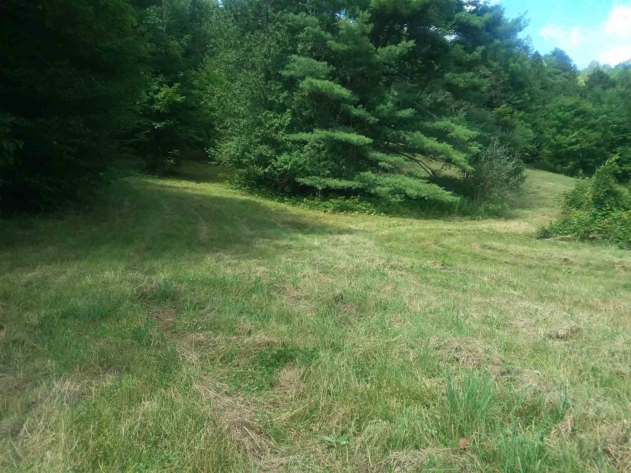 0 Bothfeld Hill Road Cabot, VT 05647 - Photo 4 of 10
