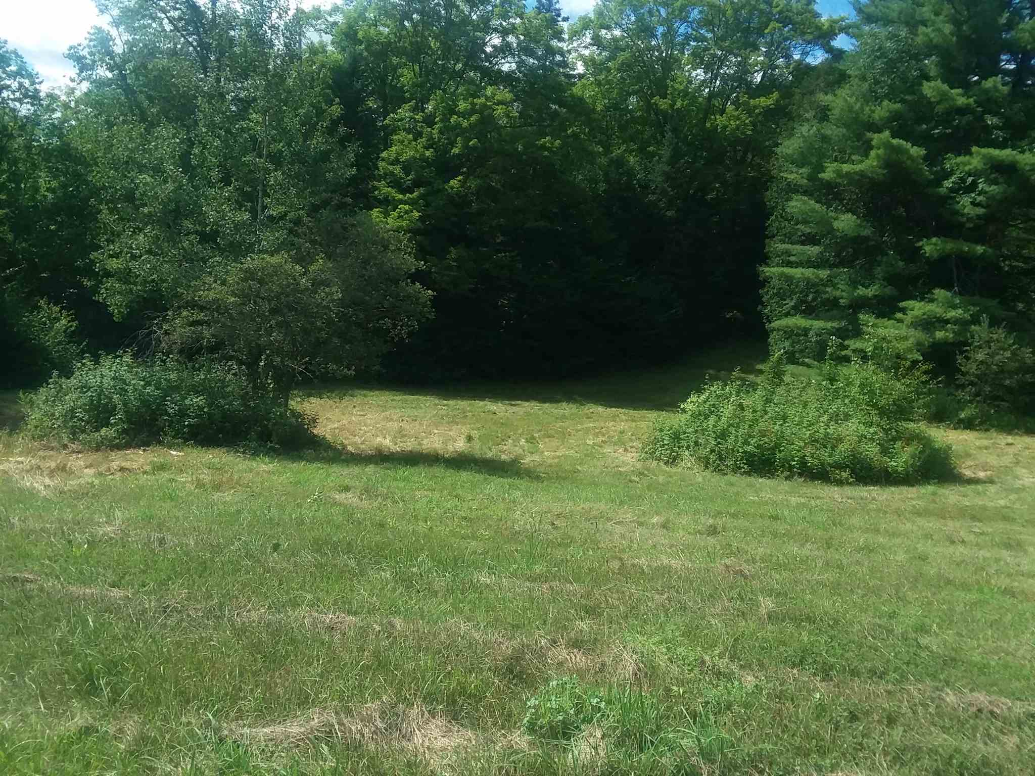 0 Bothfeld Hill Road Cabot, VT 05647 - Photo 5 of 10