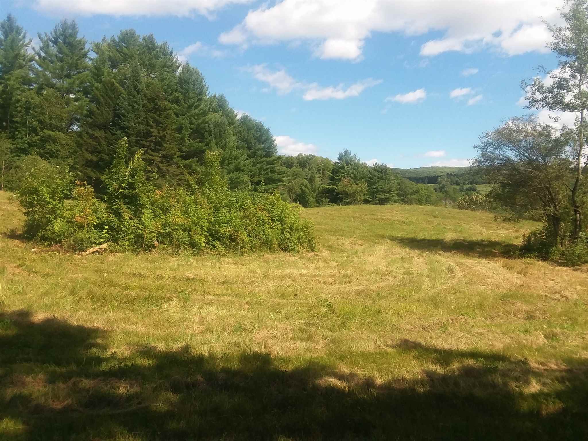 0 Bothfeld Hill Road Cabot, VT 05647 - Photo 6 of 10