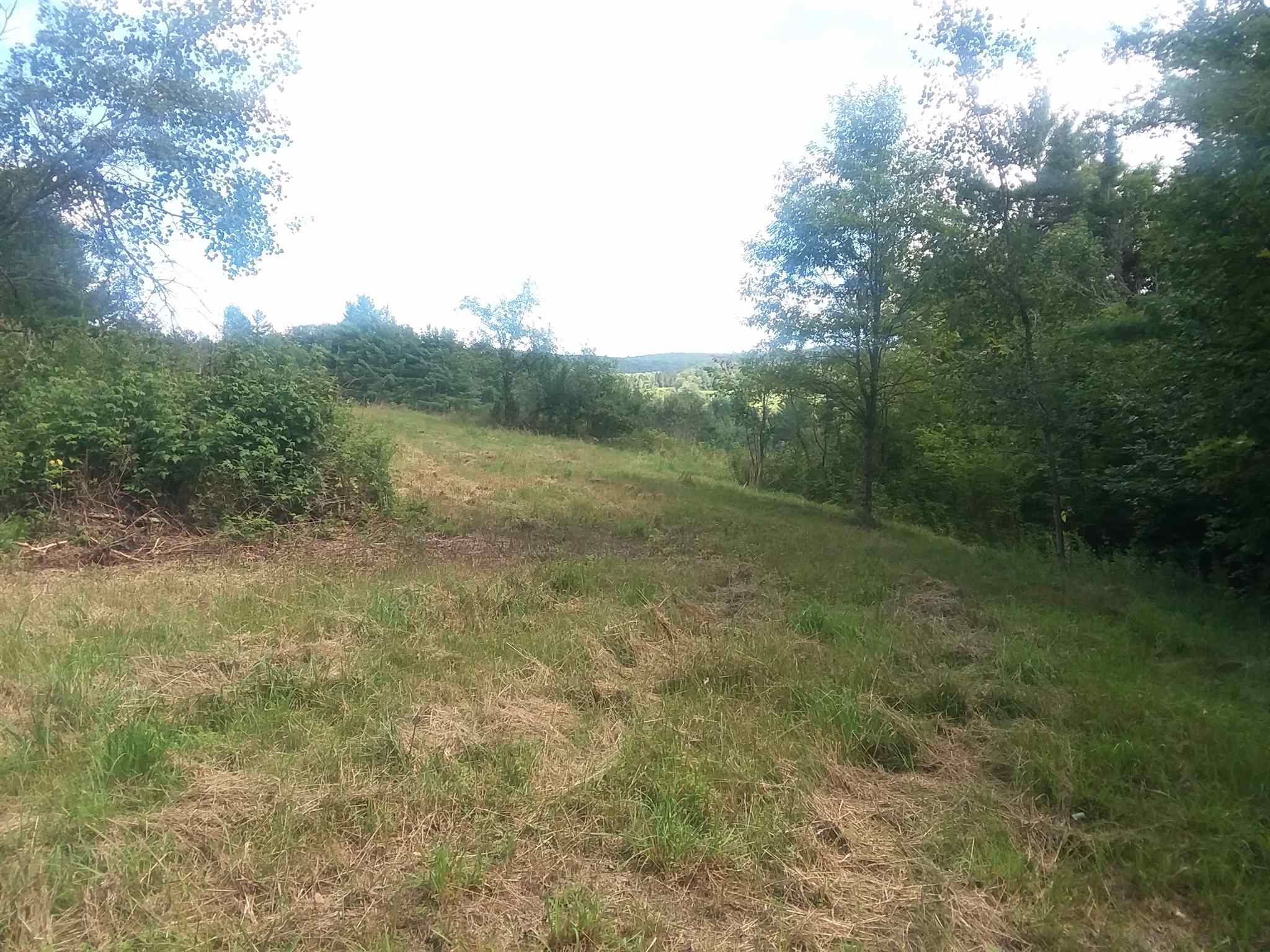 0 Bothfeld Hill Road Cabot, VT 05647 - Photo 7 of 10