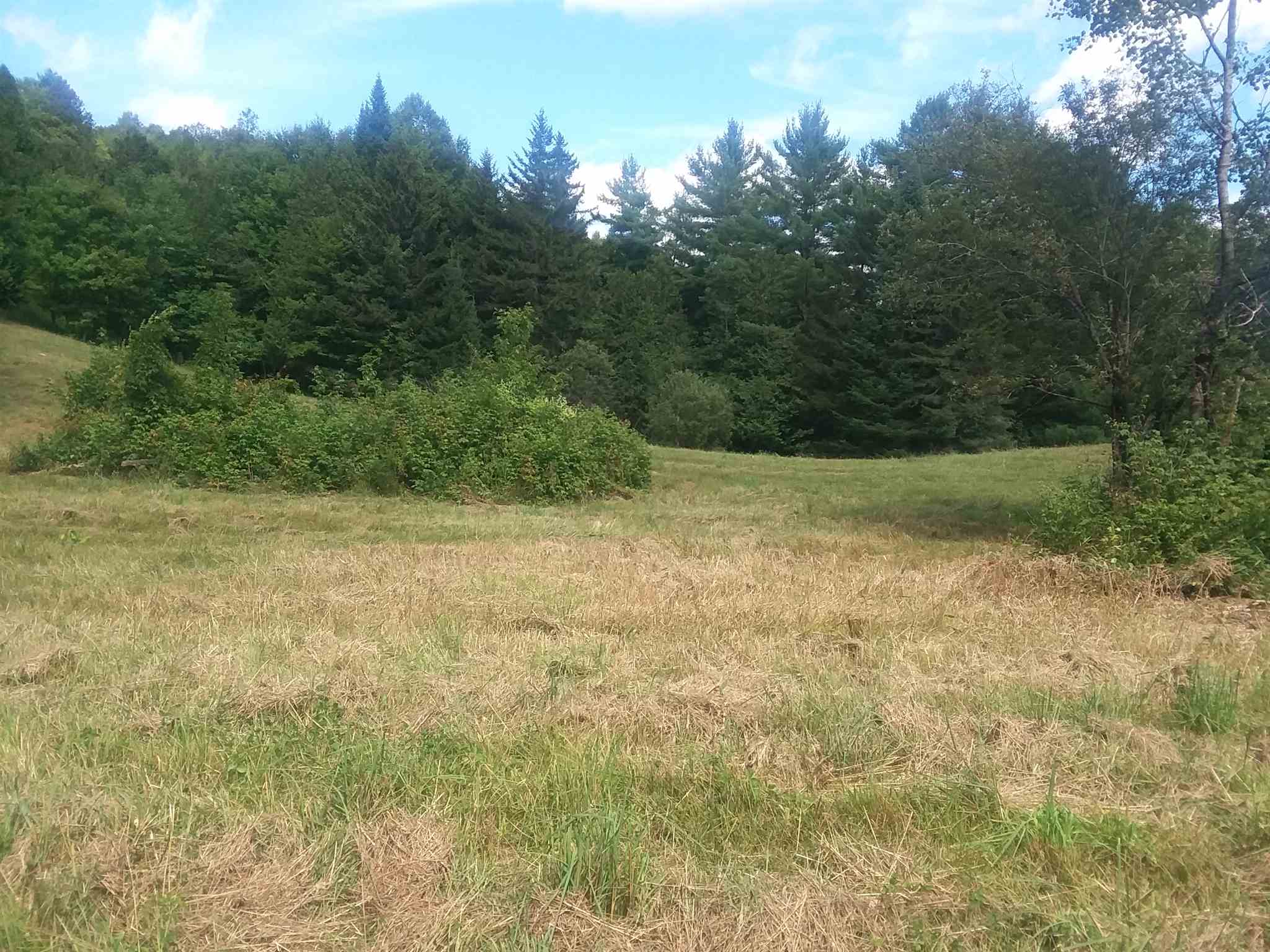 0 Bothfeld Hill Road Cabot, VT 05647 - Photo 8 of 10