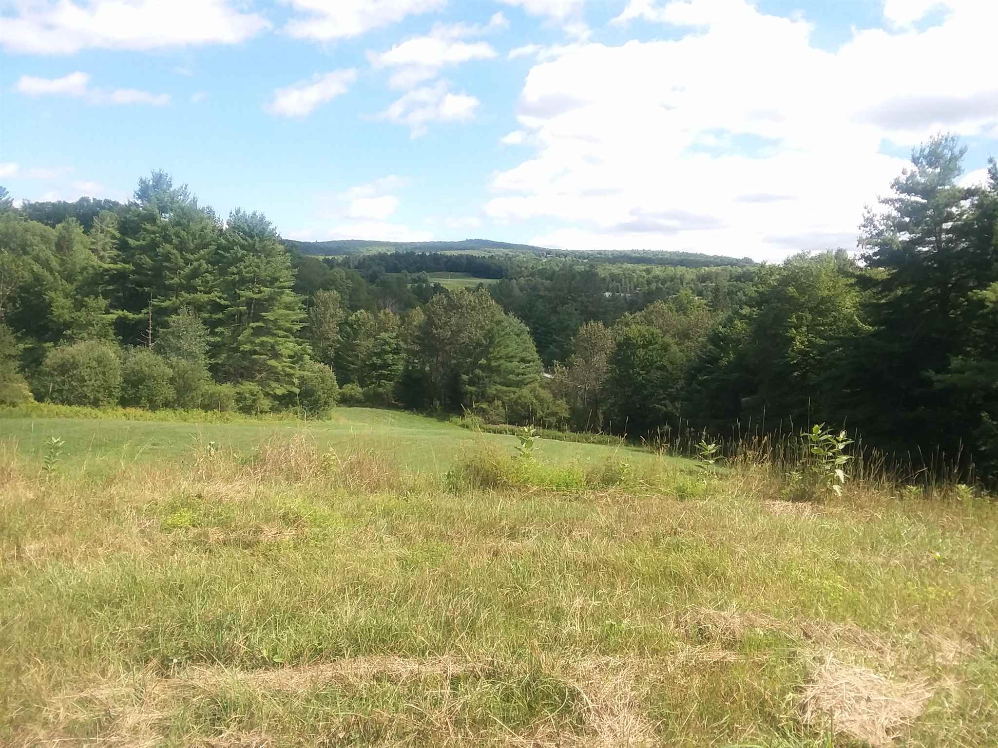 0 Bothfeld Hill Road Cabot, VT 05647 - Photo 9 of 10