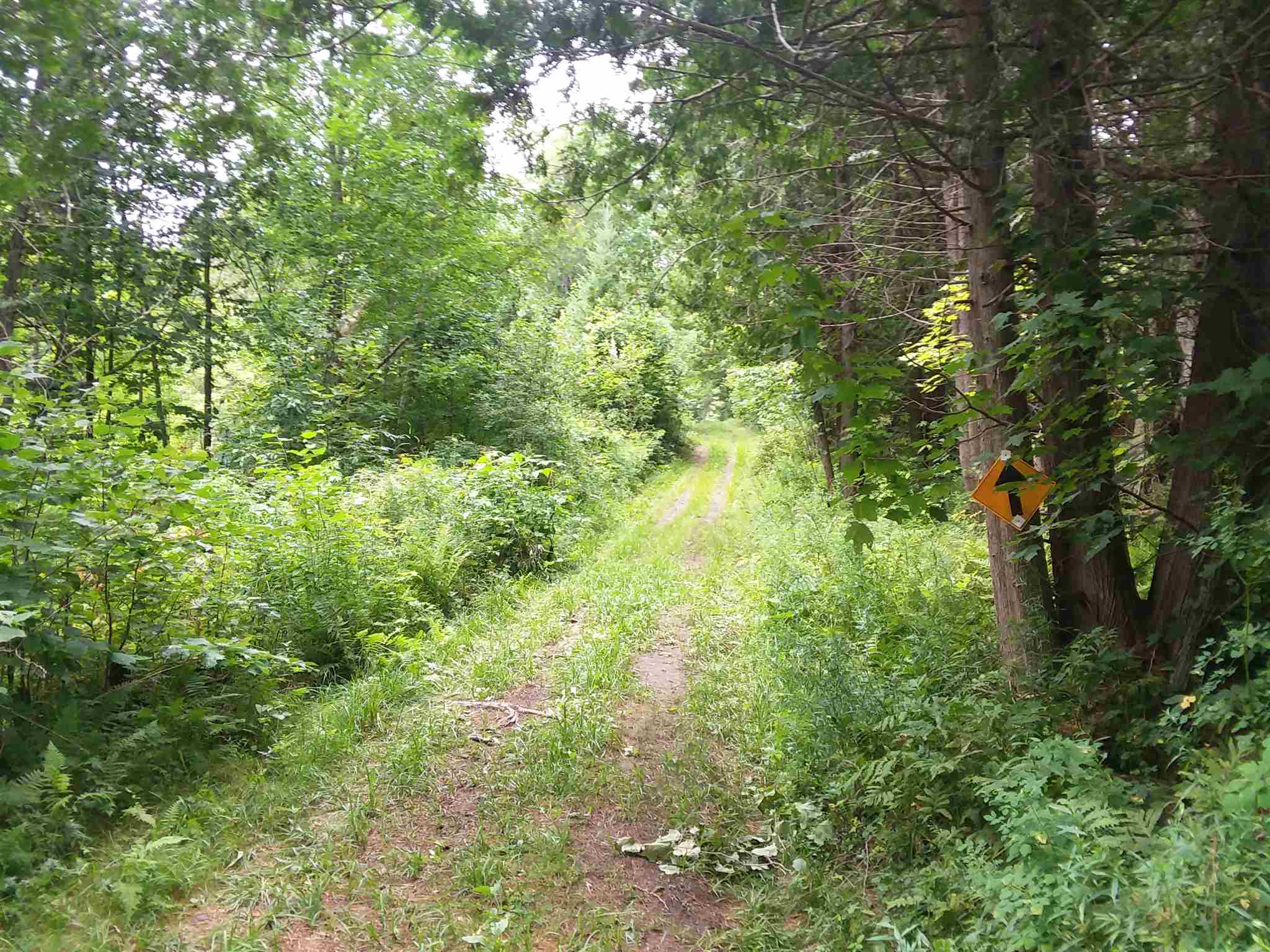 0 Bothfeld Hill Road Cabot, VT 05647 - Photo 10 of 10