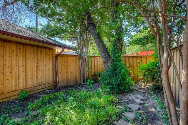 a view of a backyard with potted plants and large tree