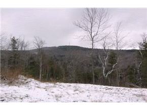 1742 Brook Road Goshen, NH 03752 - Photo 2 of 9