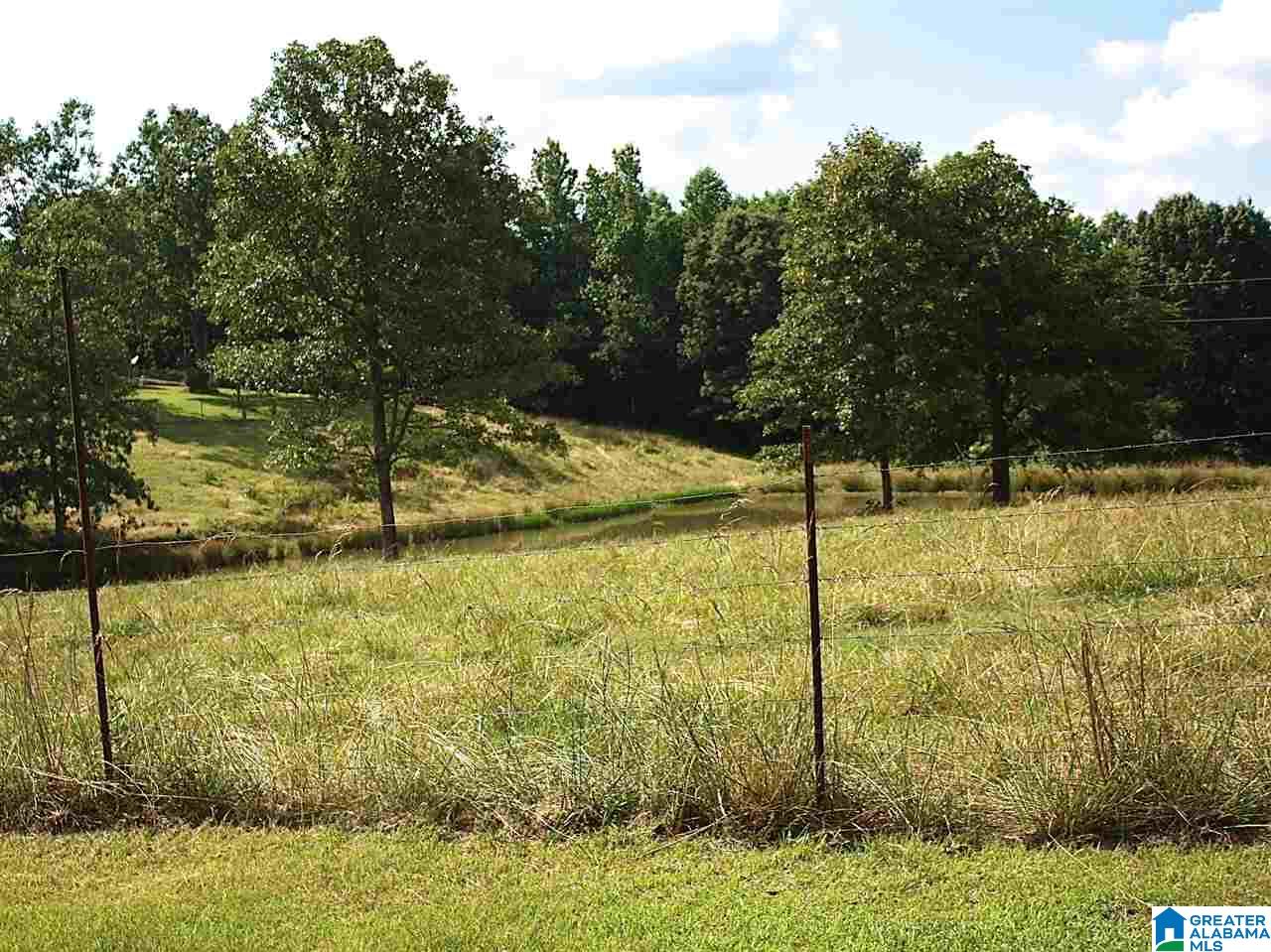 919 Gip Yates Road Blountsville, AL 35031 - Photo 4 of 49