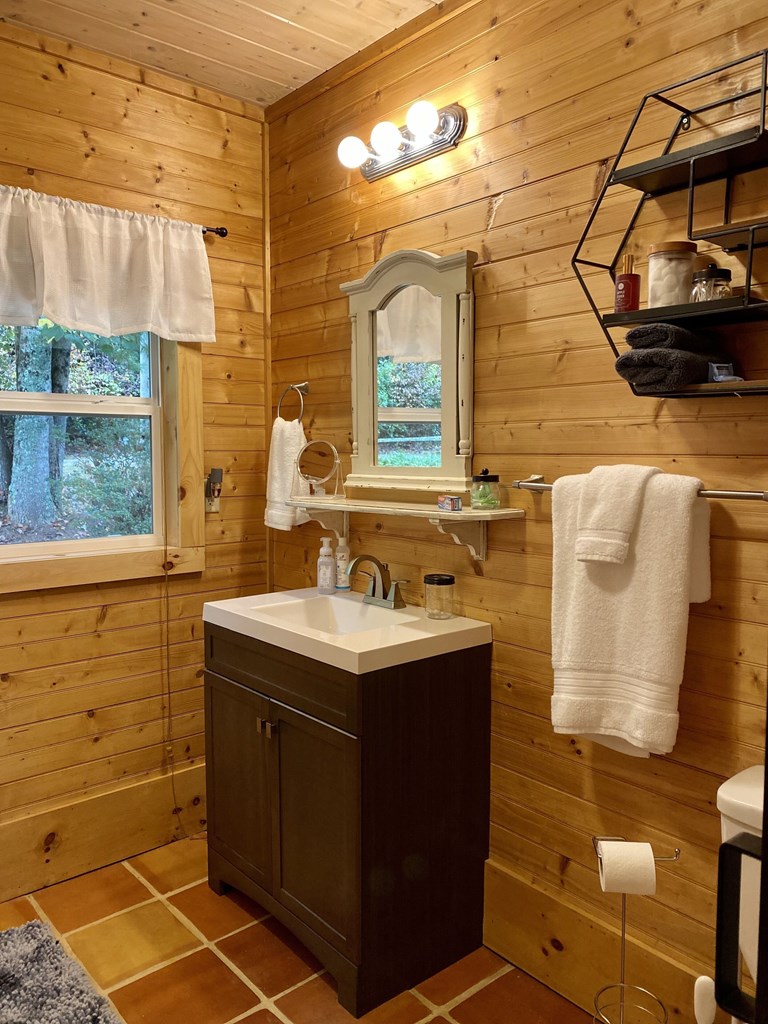 251 Sunny Brook Road Blue Ridge, GA 30513 - Photo 61 of 68 Gallery Image 61