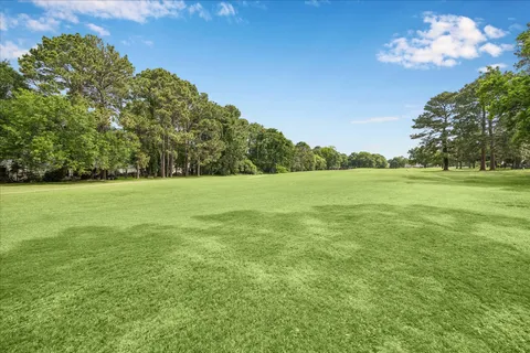 a view of a green field with clear sky