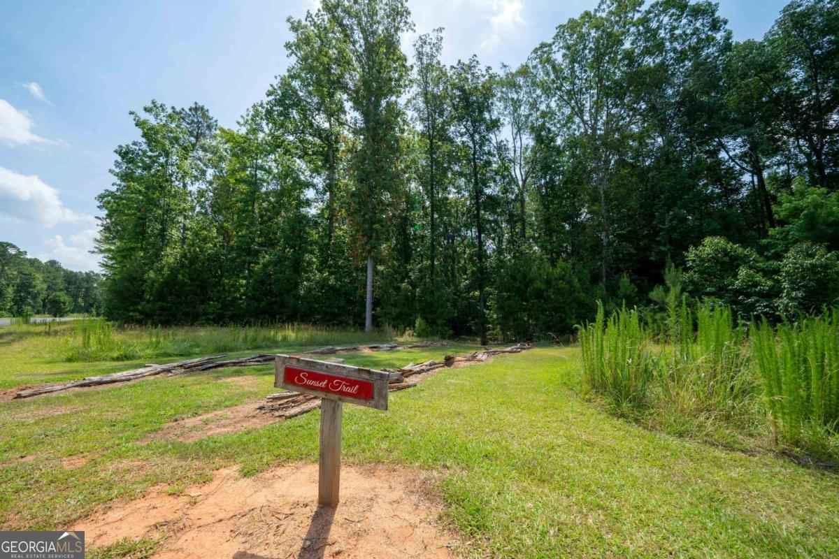 1360 Sailview Drive Buckhead, GA 30625 - Photo 37 of 37