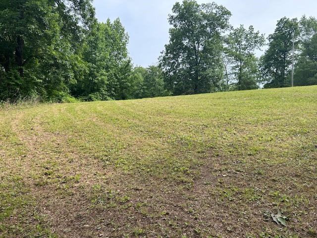1625 New Buckley Road Ashland, KY 41102 - Photo 4 of 15