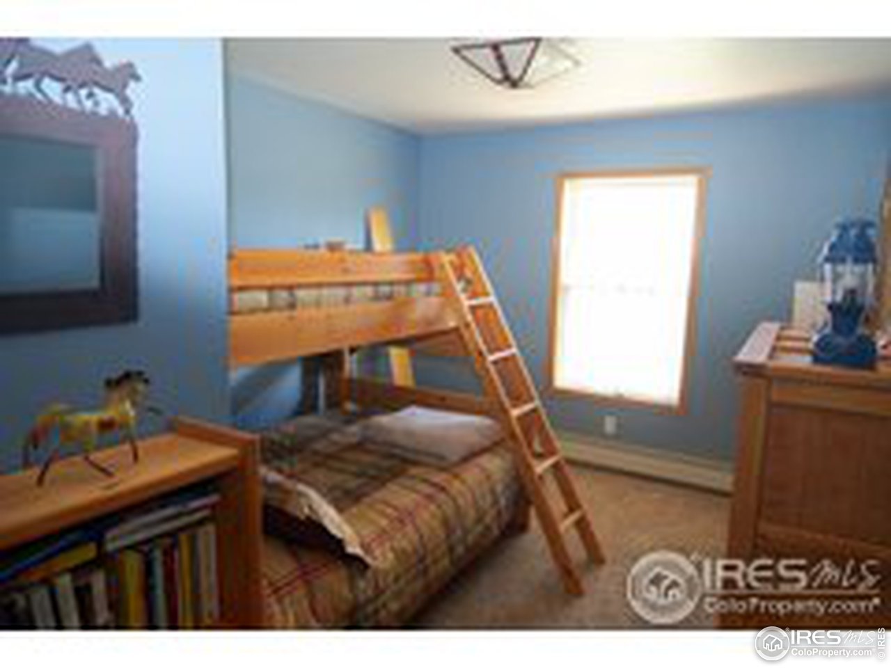 79 Tami Road Red Feather Lakes, CO 80545 - Photo 15 of 25 Gallery Image 15