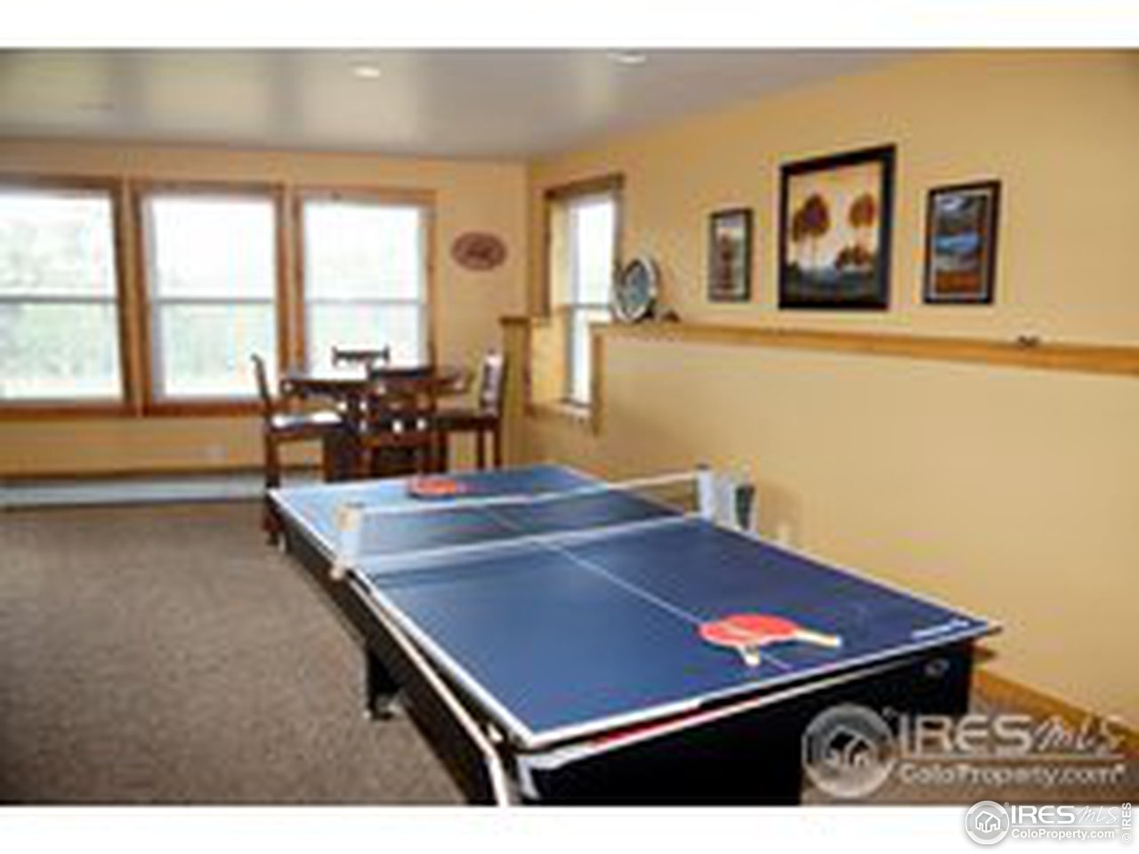 79 Tami Road Red Feather Lakes, CO 80545 - Photo 19 of 25 Gallery Image 19