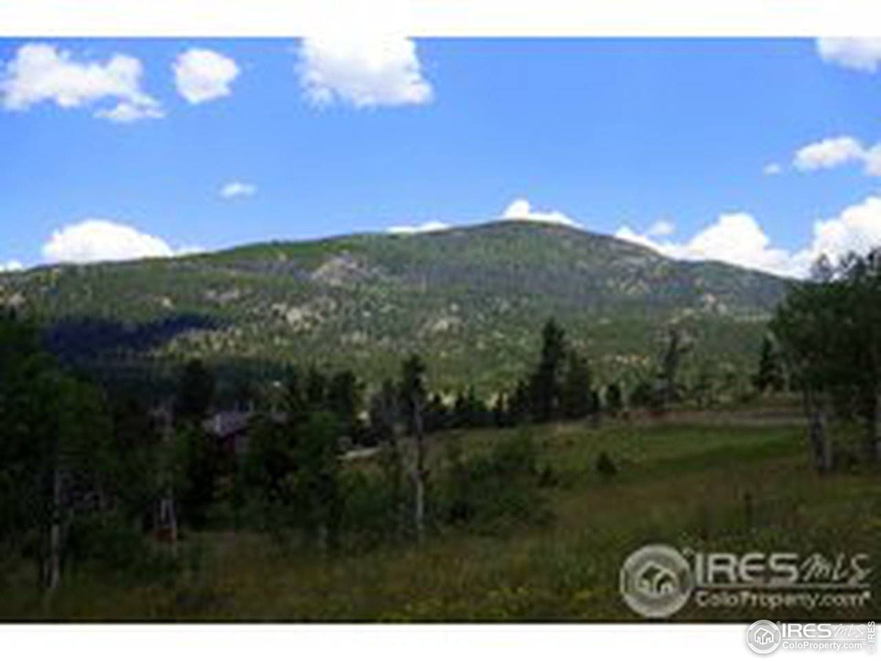 79 Tami Road Red Feather Lakes, CO 80545 - Photo 3 of 25 Gallery Image 3