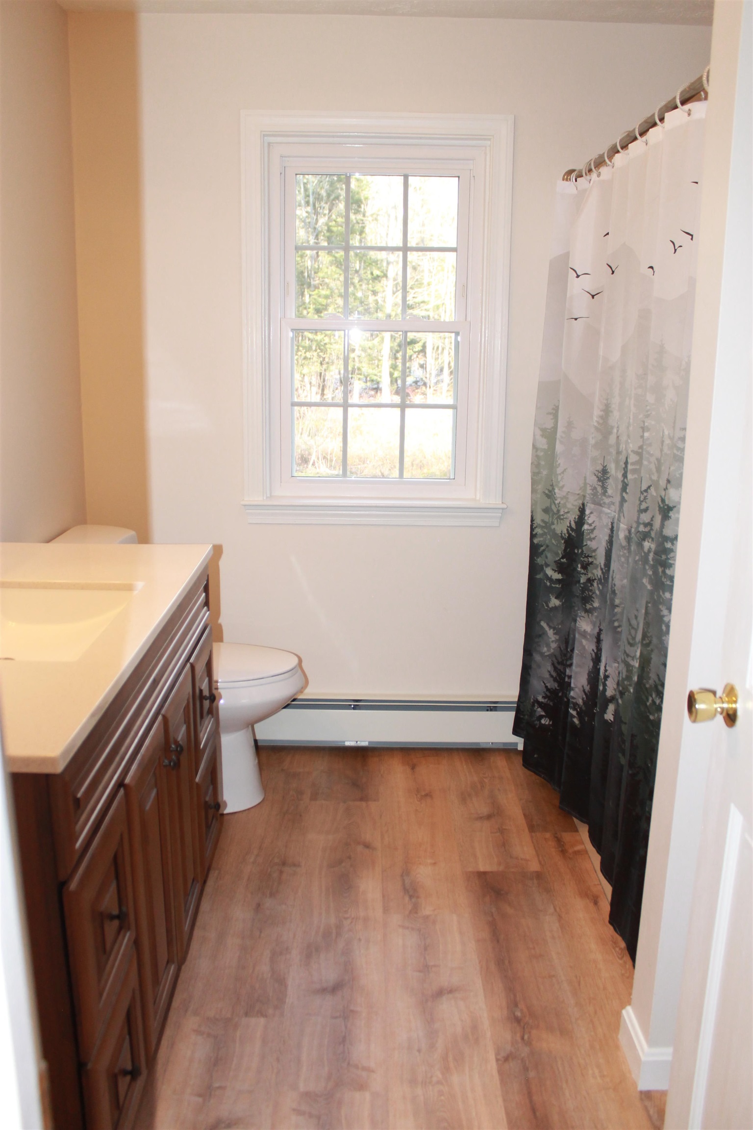 95 Dickey Hill Road Deering, NH 03244 - Photo 16 of 26