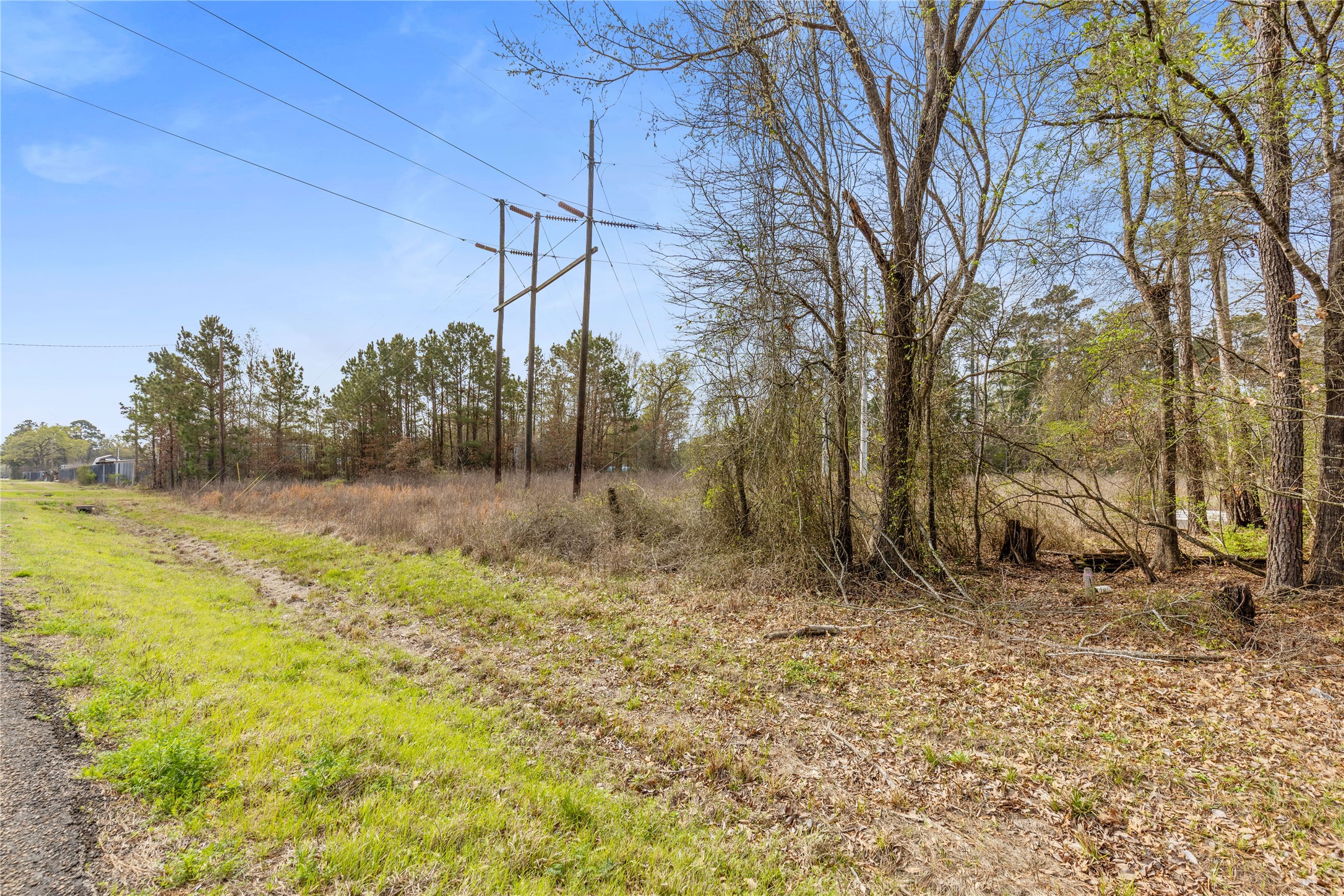 Lot 5 Eagle Falls Boulevard Trinity, TX 75862 - Photo 8 of 8 a view of backyard with green space