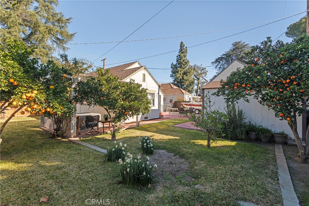 3678 Jurupa Avenue Riverside, CA 92506 - Photo 25 of 27 Orange trees